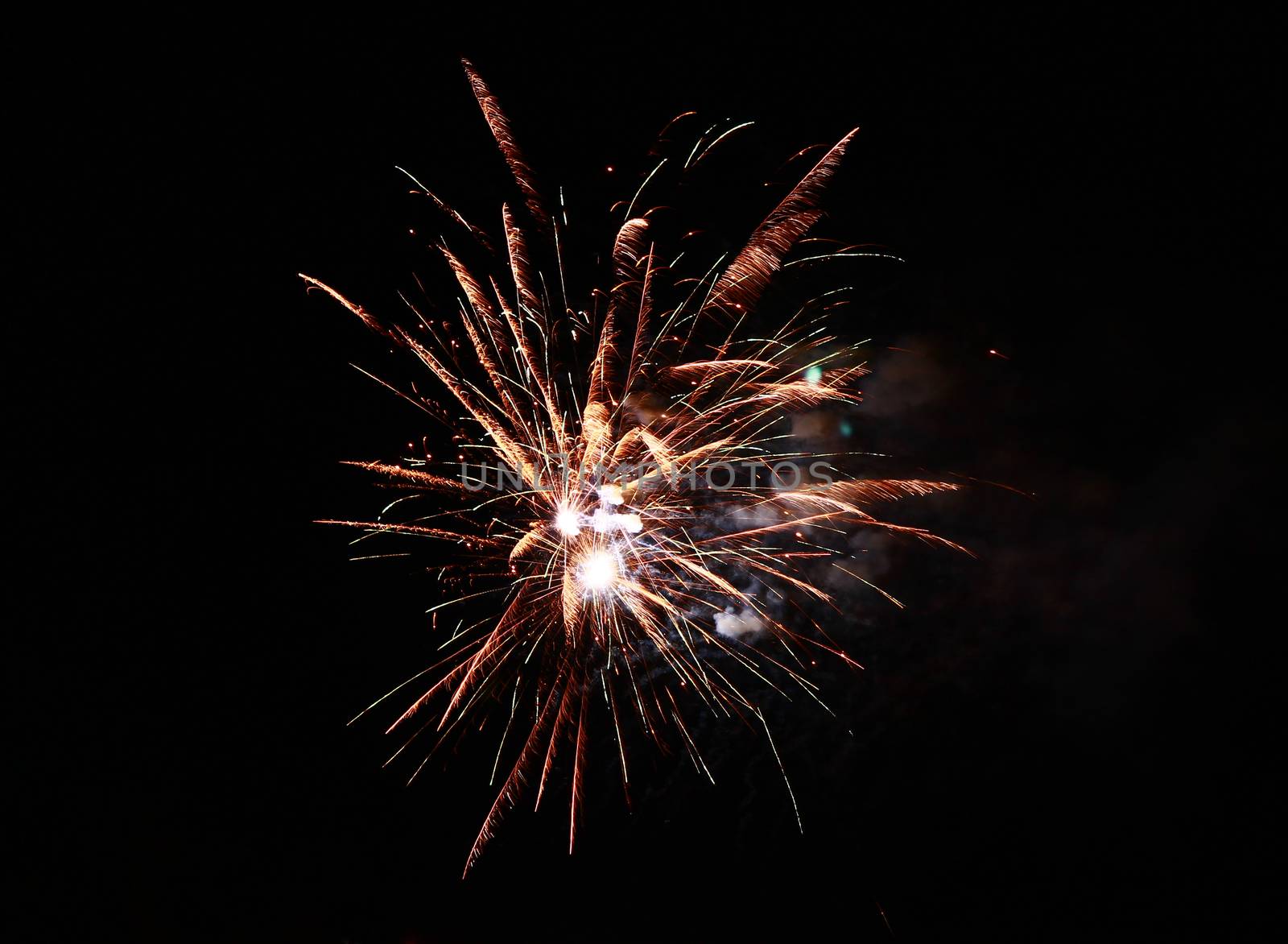 Celebration firework in the black night sky