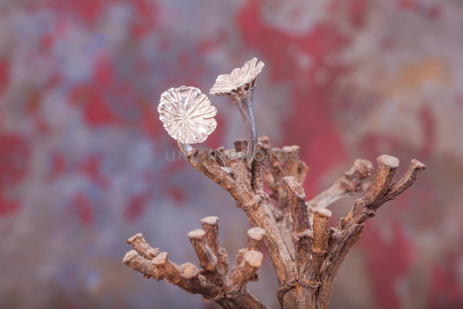 Close up of silver ring, manufactured by Ornella Salamone