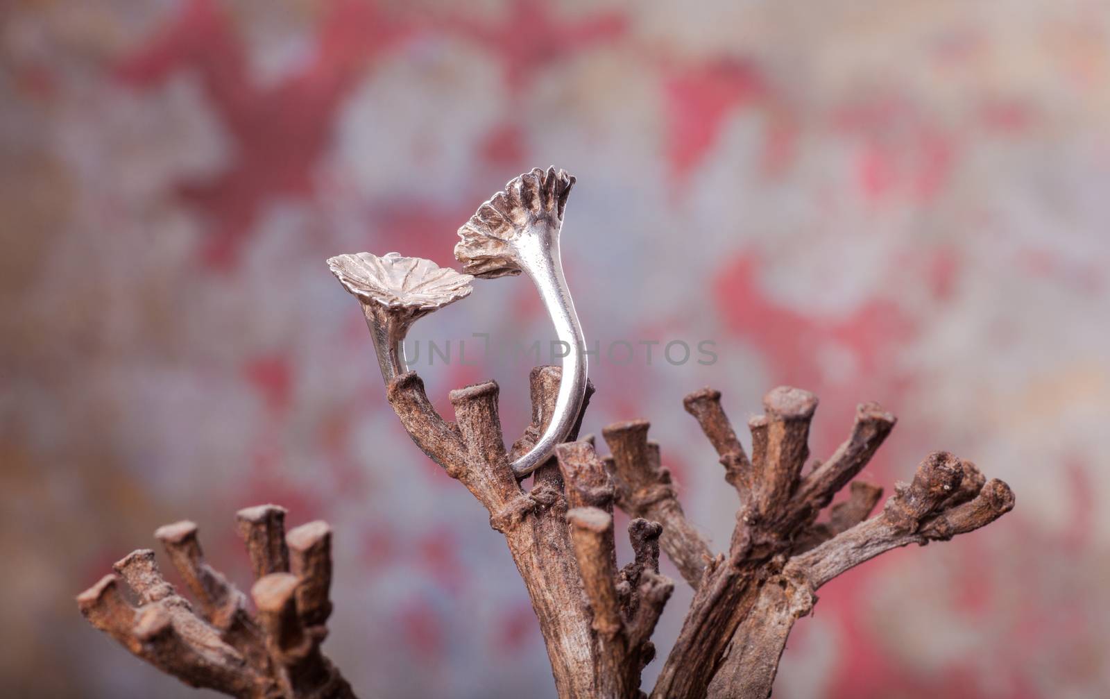 Close up of silver ring, manufactured by Ornella Salamone