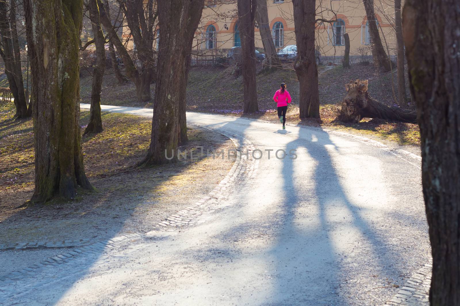 Female runner in the forest.  by kasto