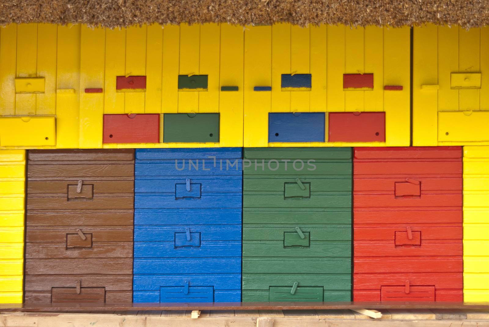 Colorful Beeyard