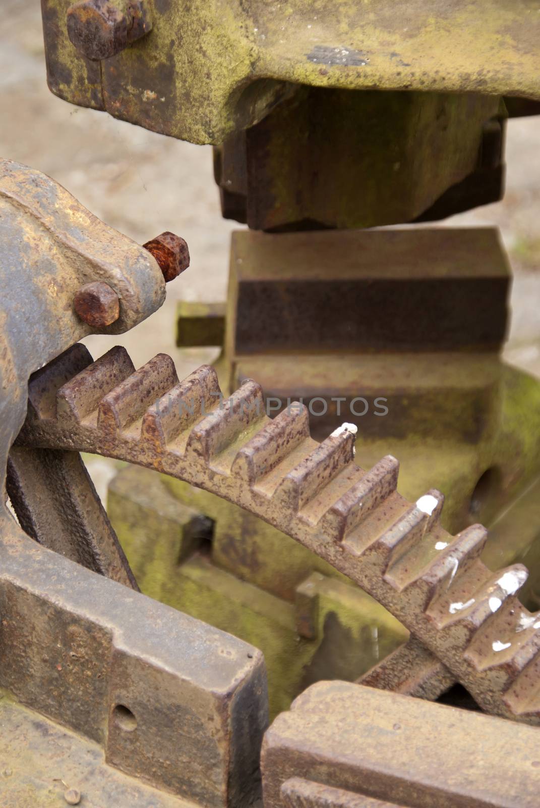 Old Gear on a Mill