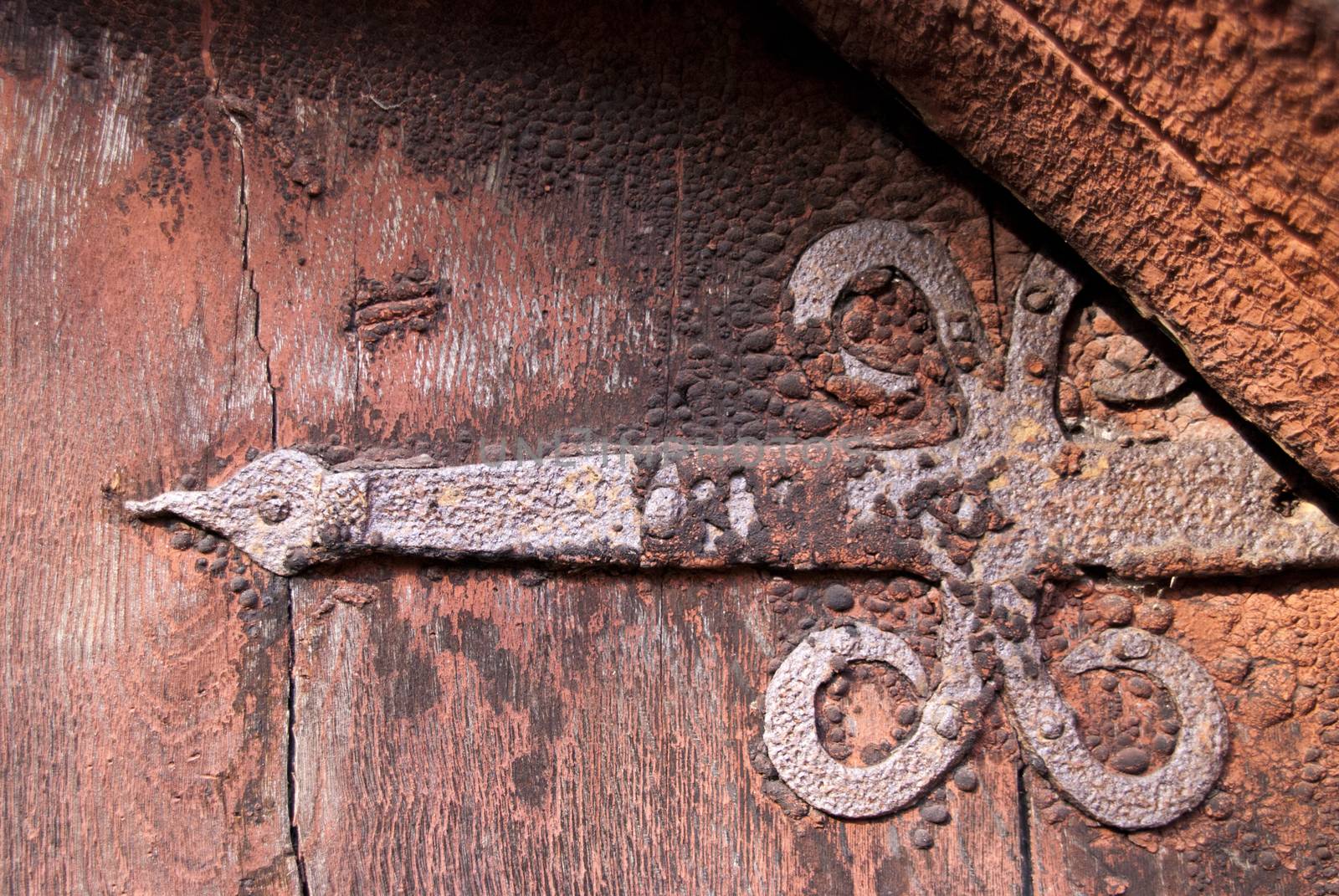 Structure of old Wood