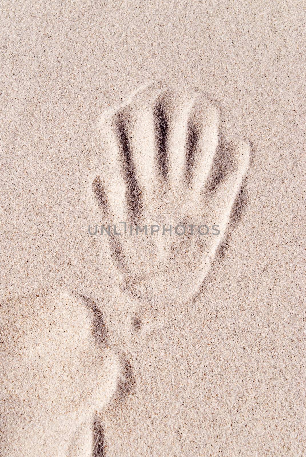 Detail of a sandy Dune