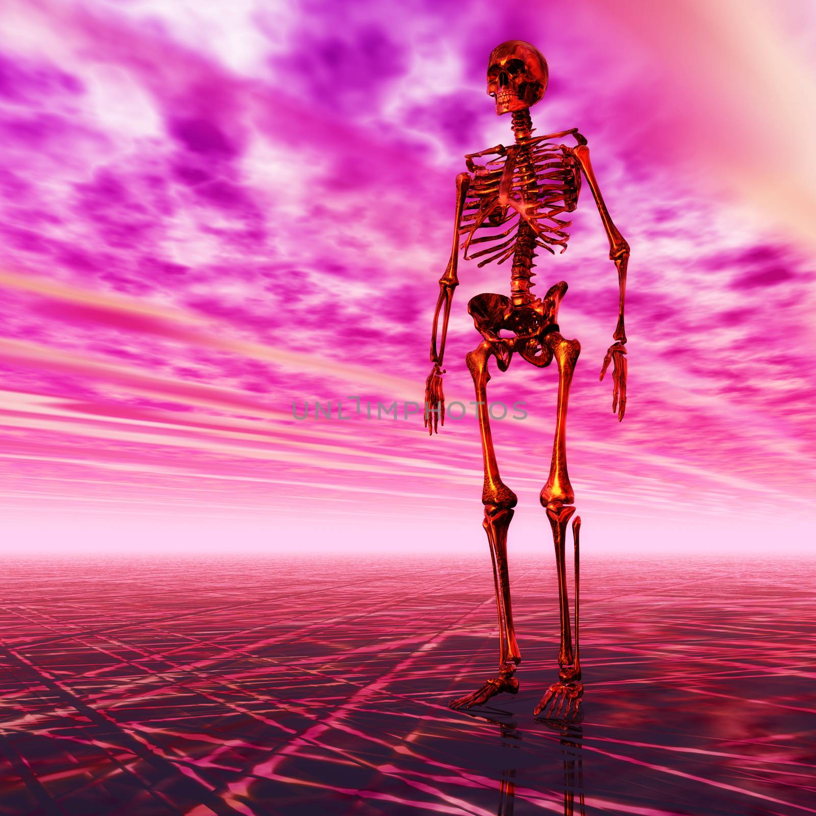 Digital Illustration of a Skeleton