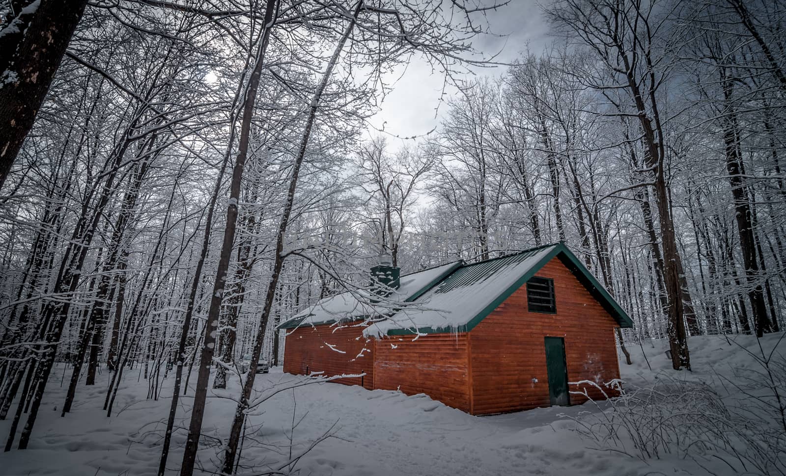 A walk into the maple syrup, sugar shack woods just as the season gets started.