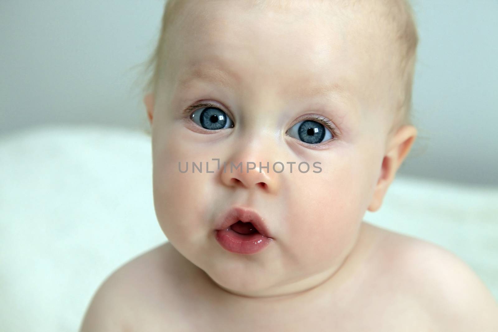 Beautiful small kid girl in studio