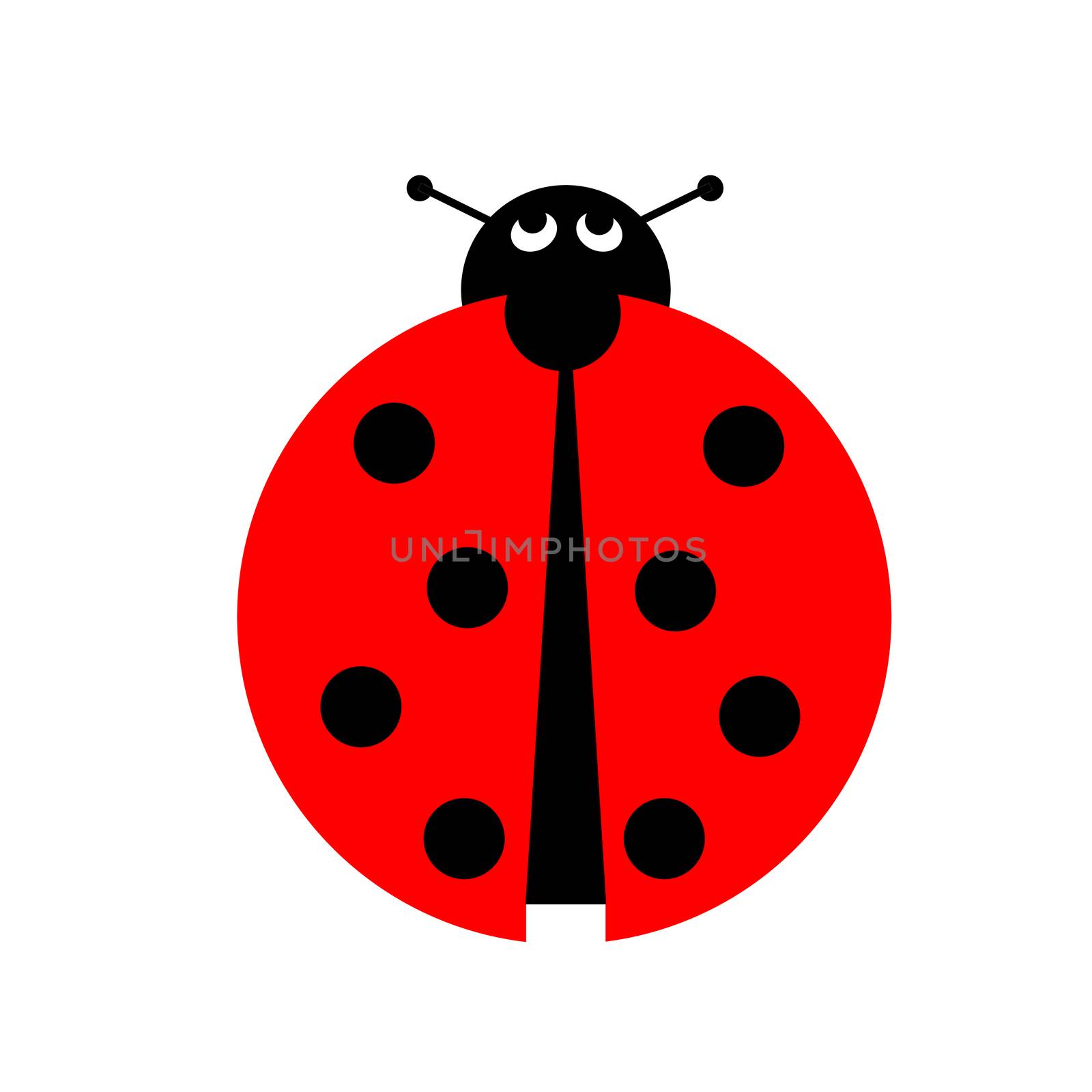 Ladybug by hlehnerer