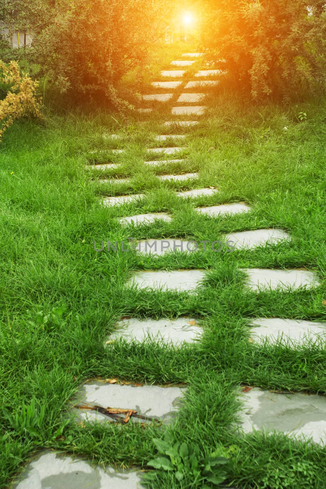 stone walkway on the grass in the park