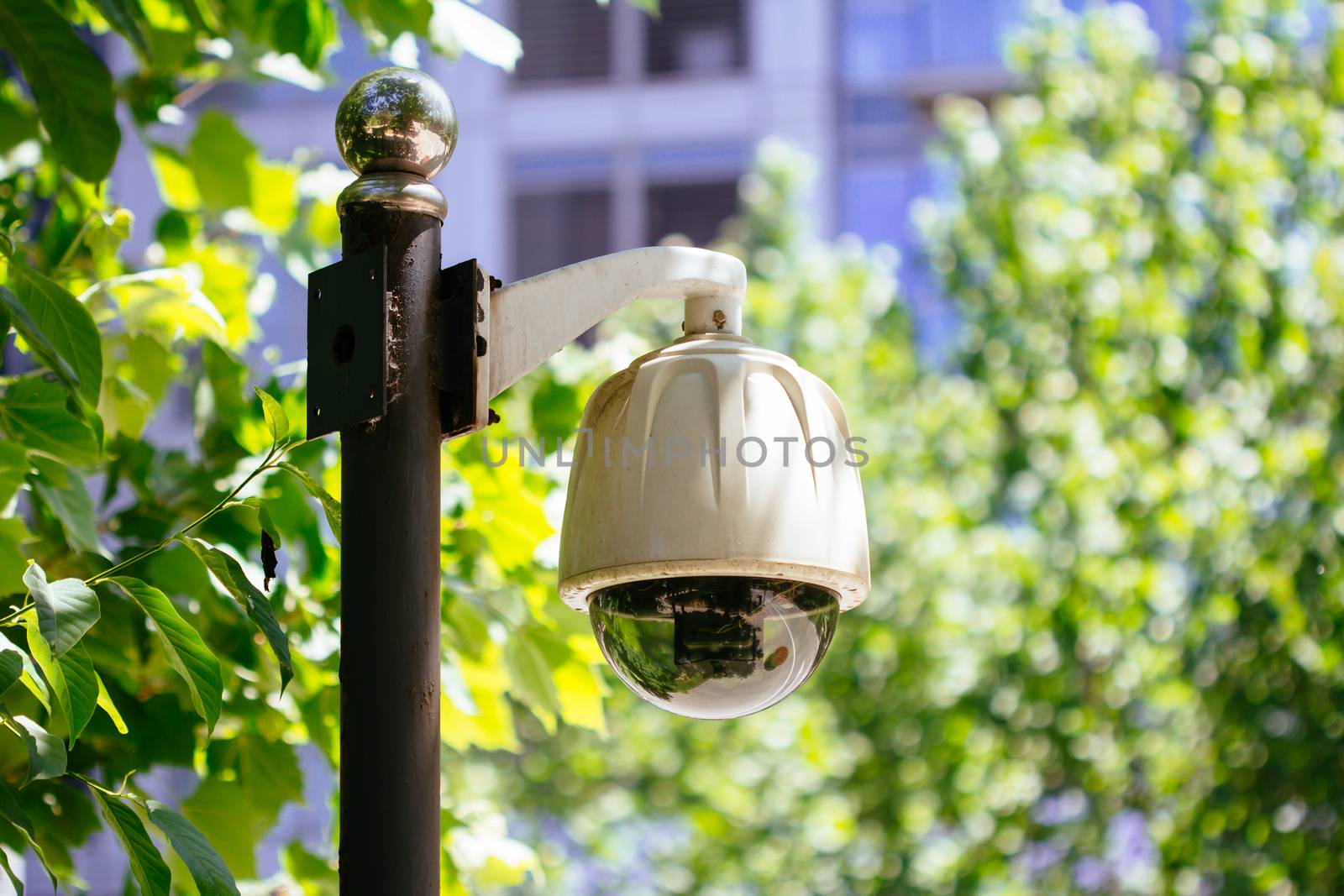 monitor by the roadside