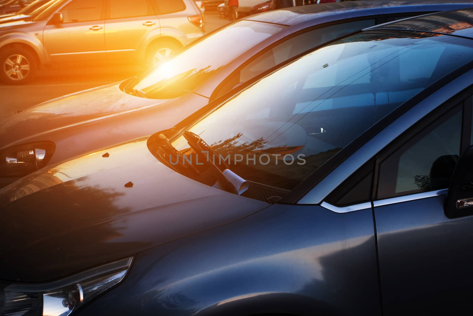 cars in street  at sunset