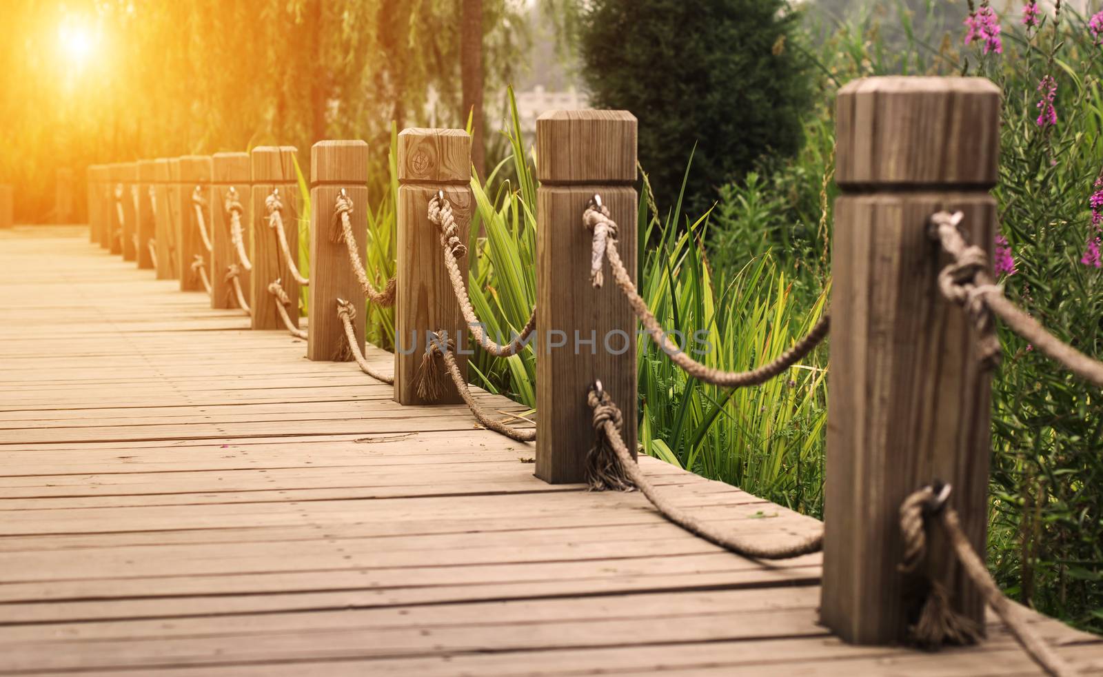 wooden path with railing in the park