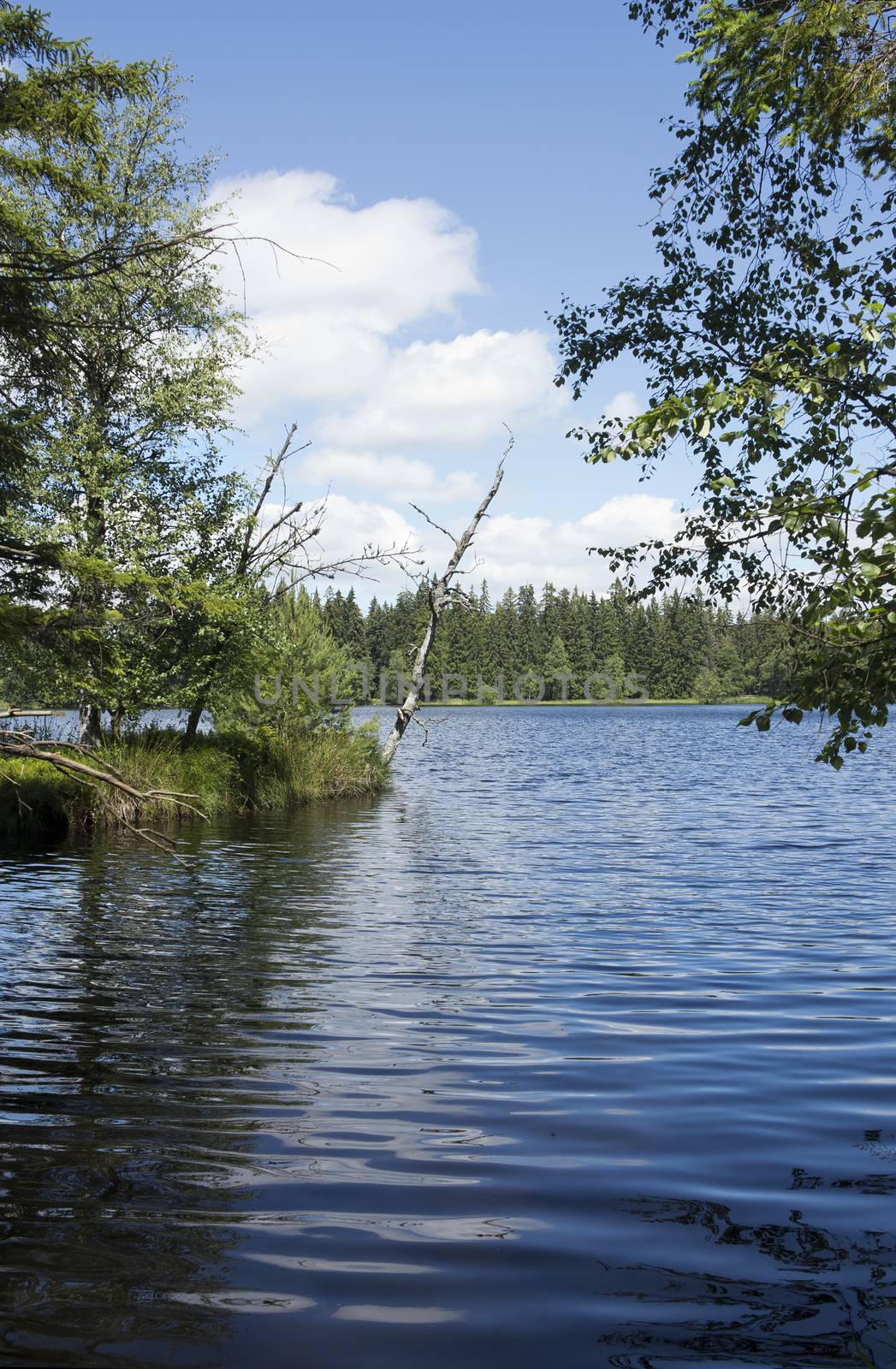 Kladska peats (Glatzener Moor) is a national nature reserve in Slavkov Woods - protected landscape area. Slavkov Forest (Kaiserwald) is geomorphological unit in the northern part of the Carlsbad Highlands. Kladska, Czech republic.