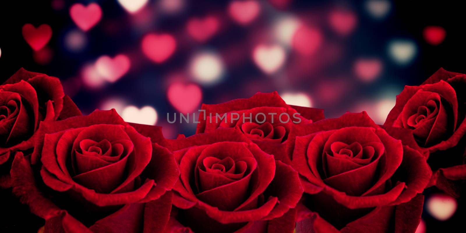 Composite image of rose by Wavebreakmedia