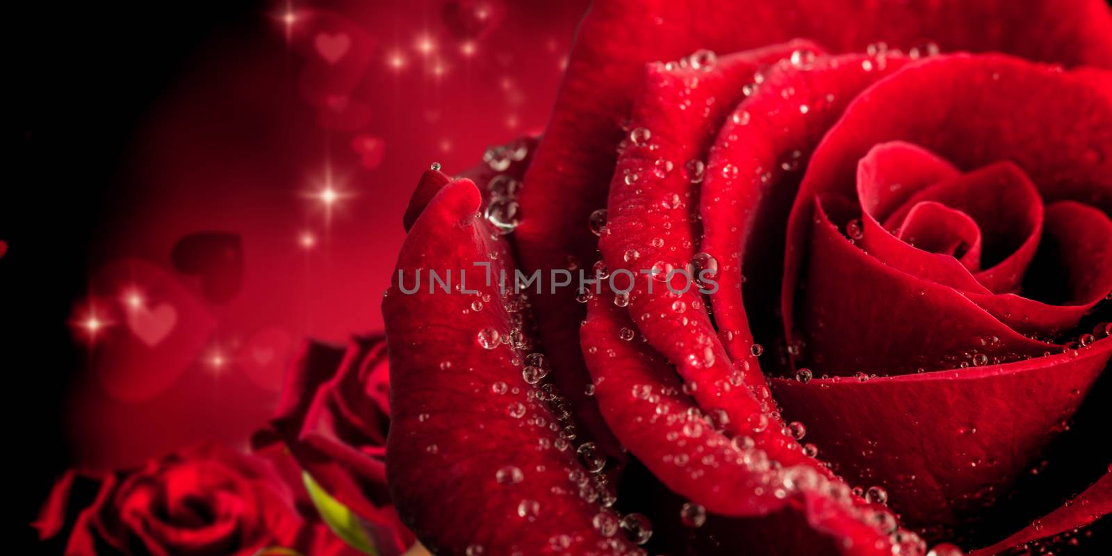 Composite image of rose by Wavebreakmedia