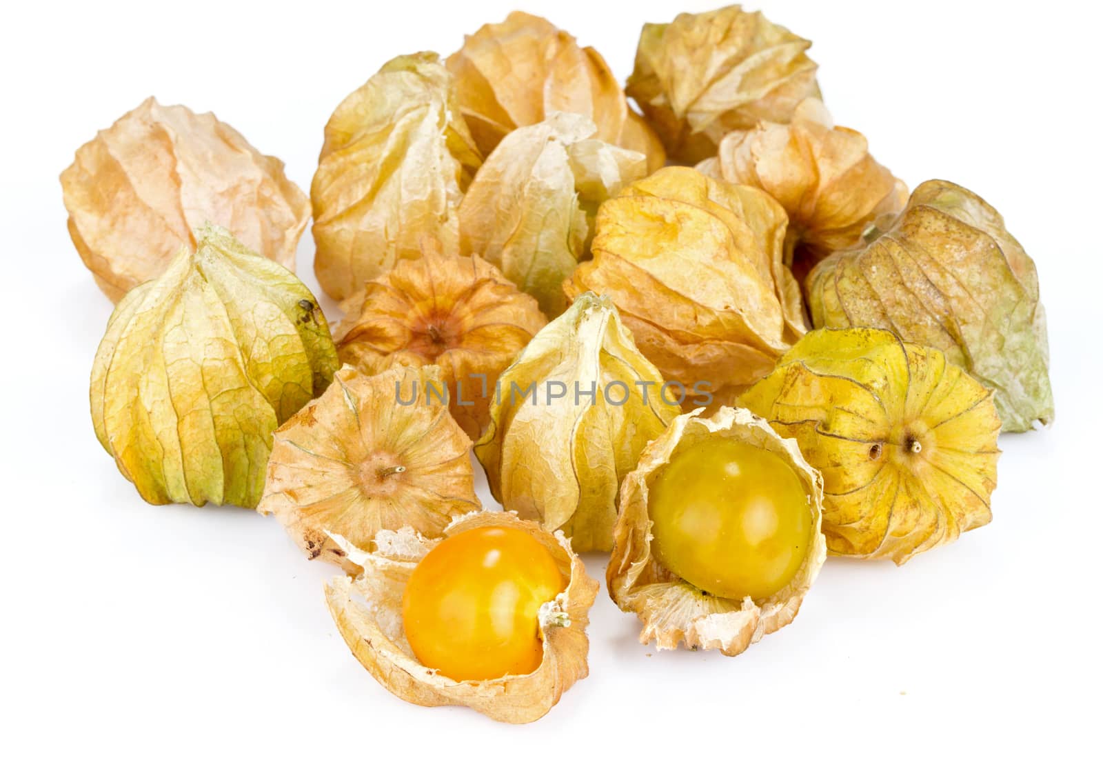 cape gooseberry on white background