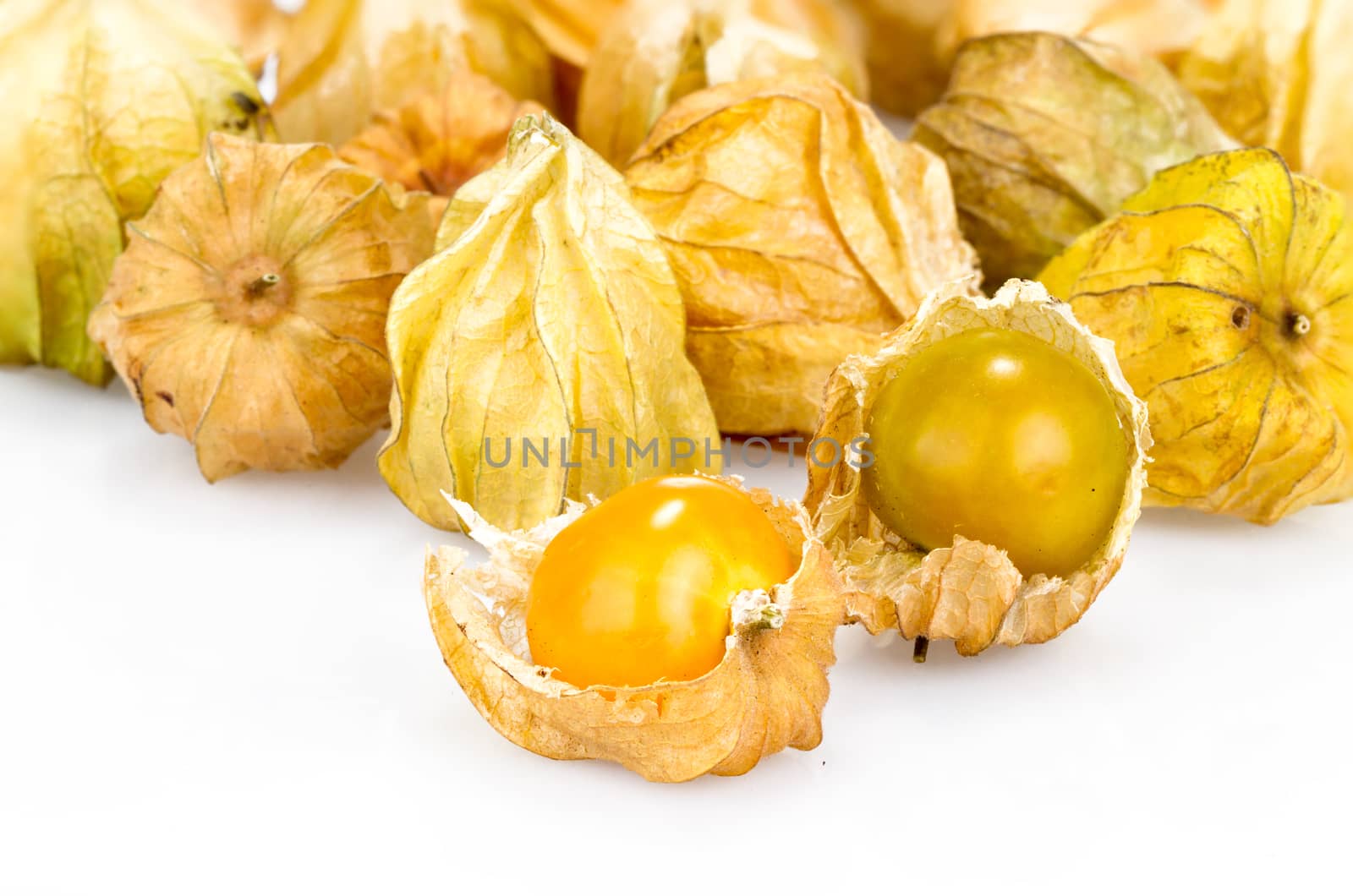 cape gooseberry on white background