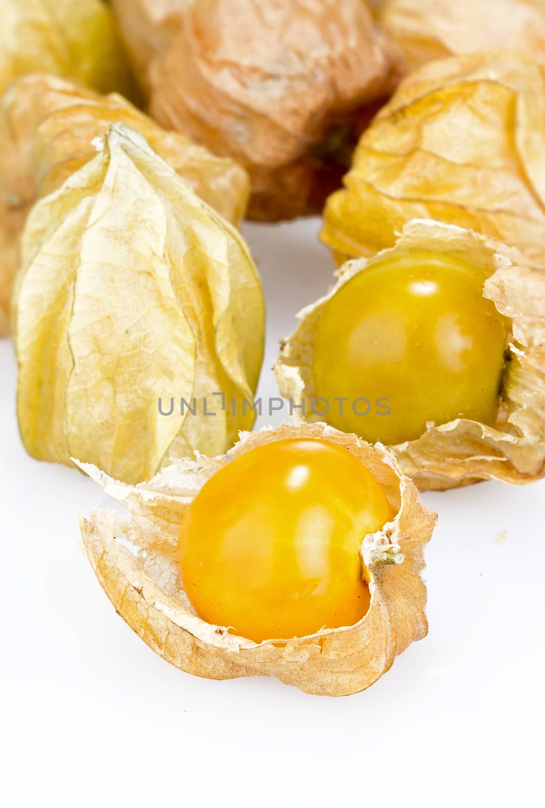 cape gooseberry on white background