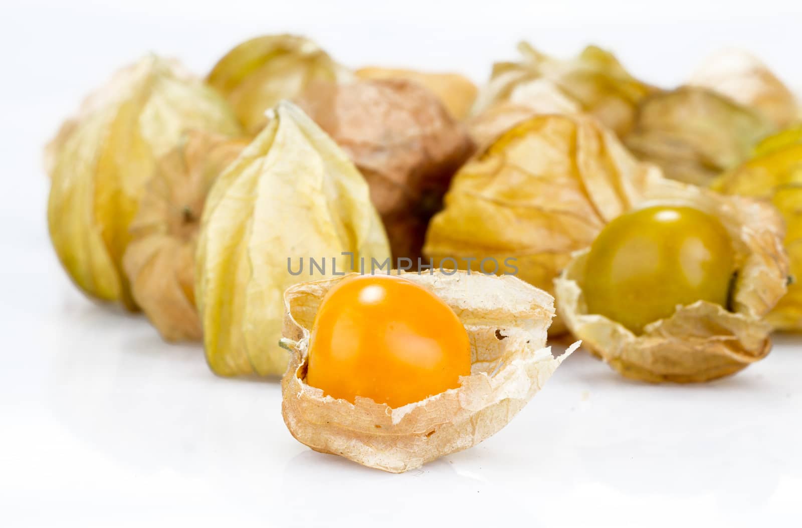 cape gooseberry on white background