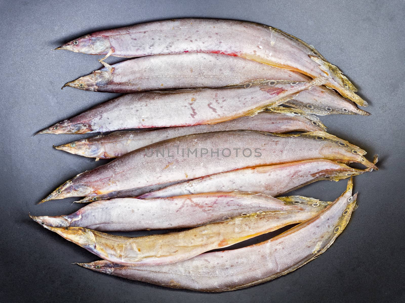 Dried salted Spotfinned spinyeel - Macrognathus siamensis. on dish