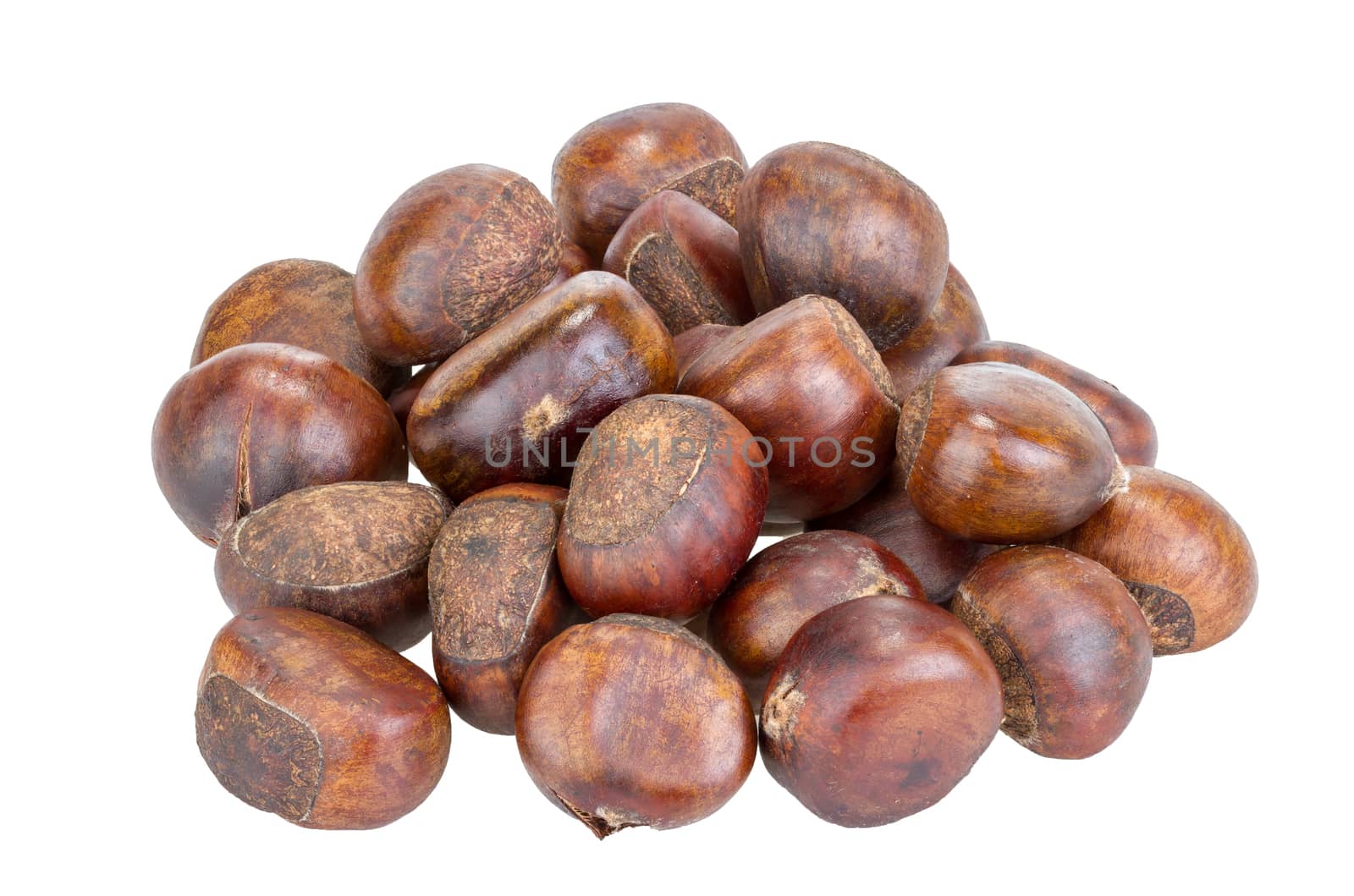 chestnut isolated on white background