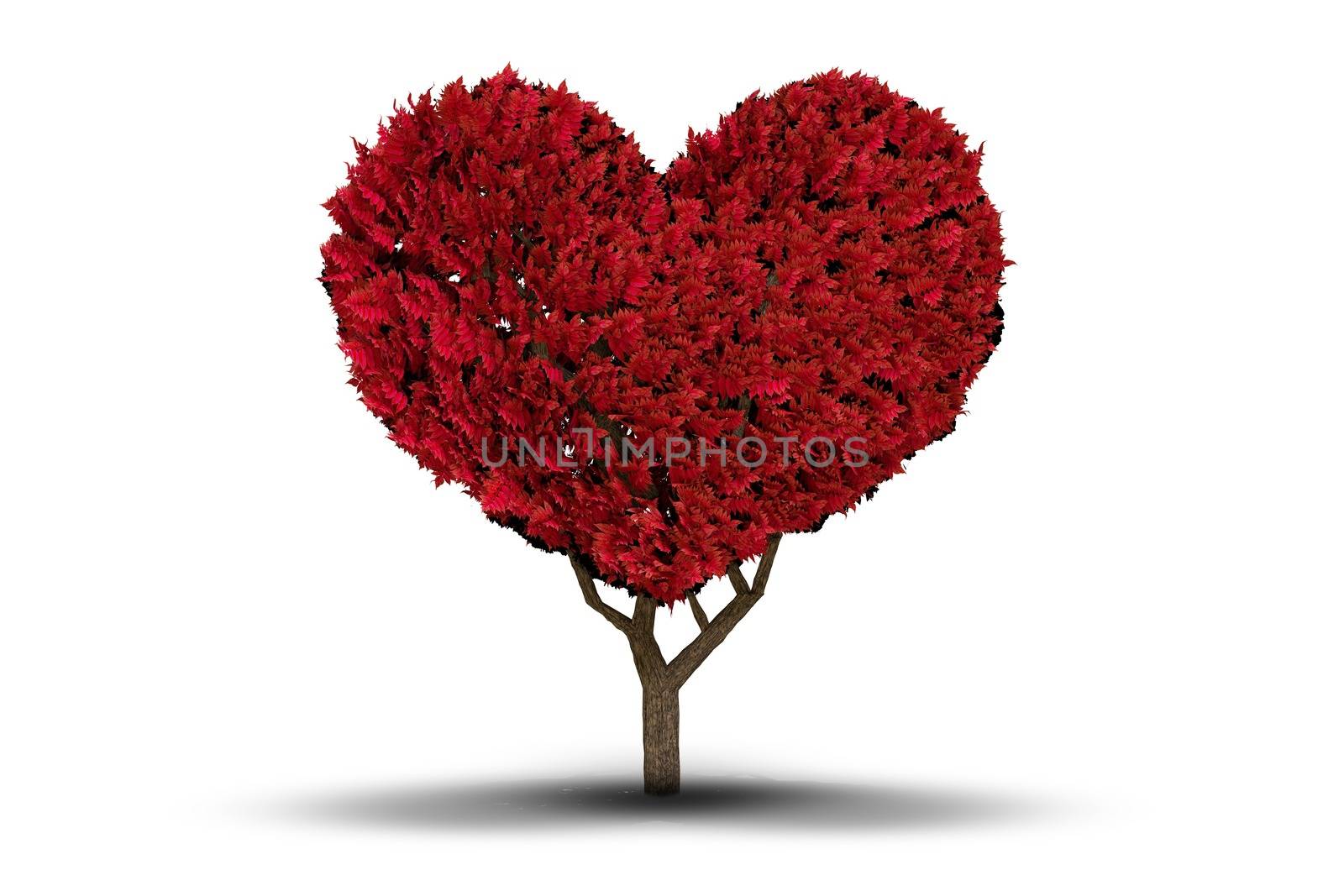 Love heart tree by Wavebreakmedia