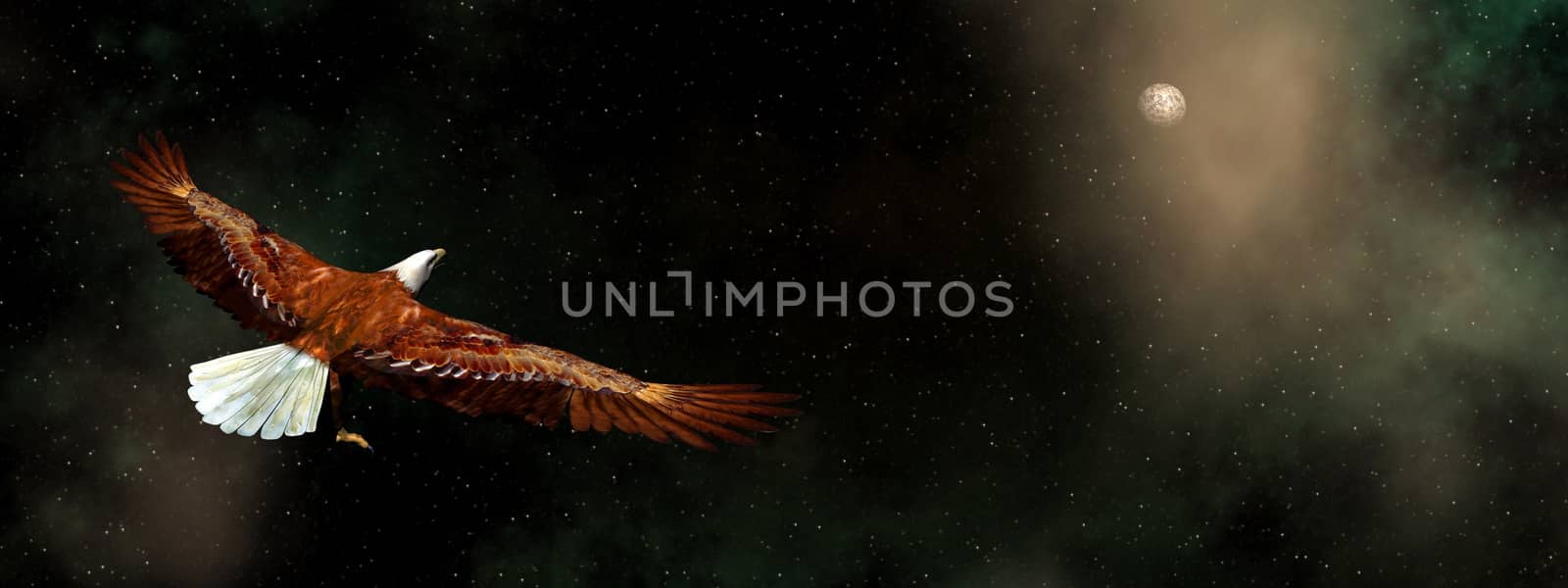 Eagle flying in the universe with nebulas - 3D render