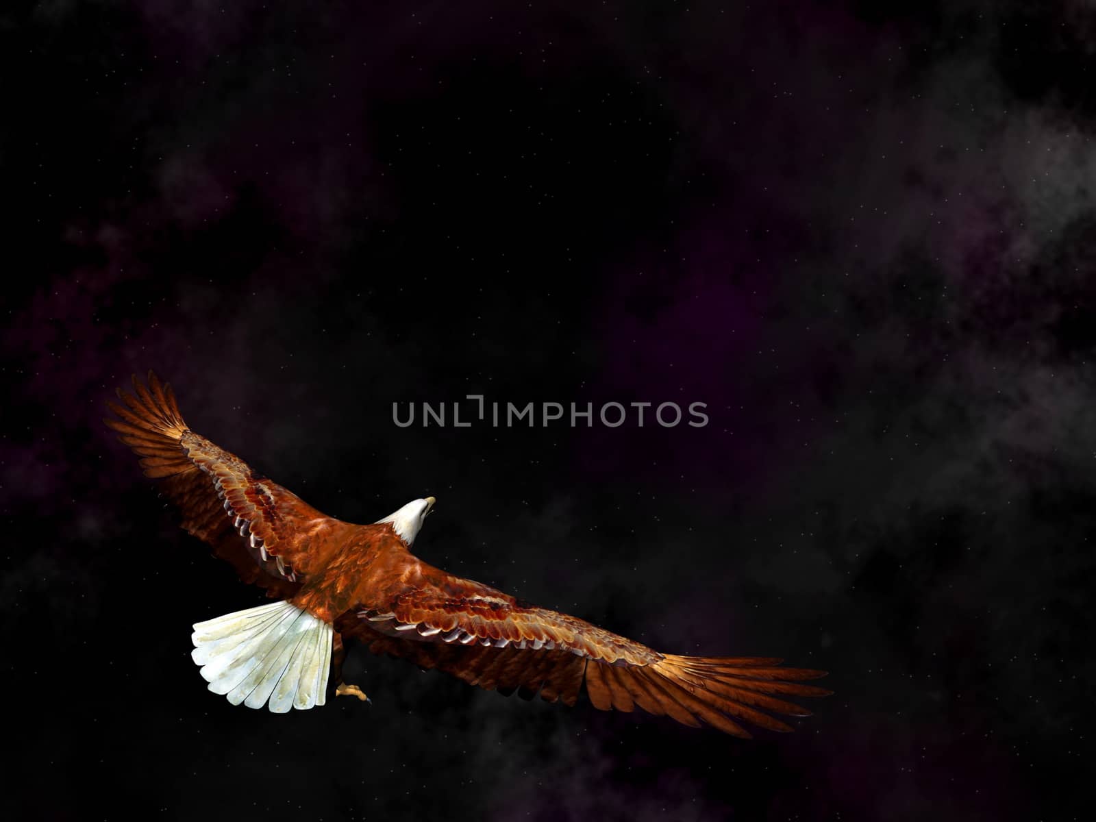 Eagle flying in the universe - 3D render by Elenaphotos21