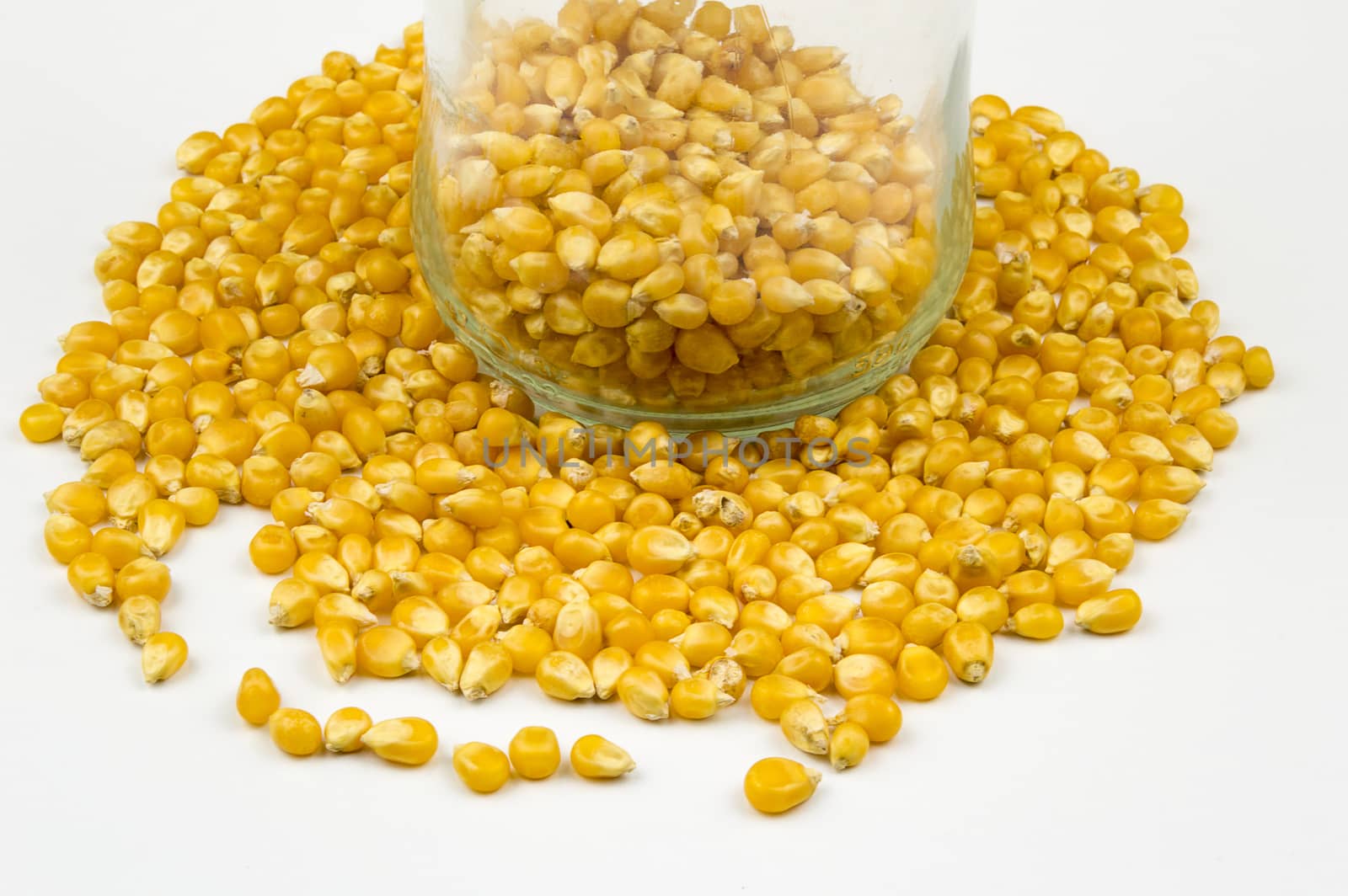 Corn kernels isolated on white background