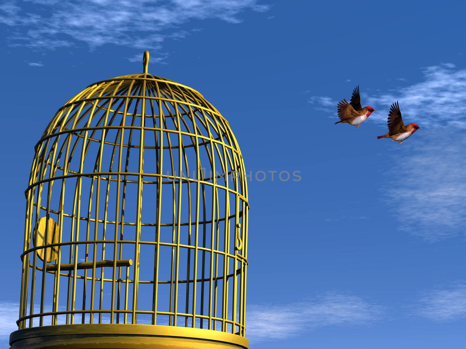 Two blue finch birds flying out of the cage - 3D render