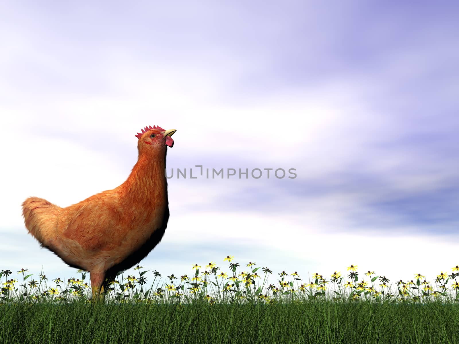 Red hen standing in the grass by cloudy day - 3D render