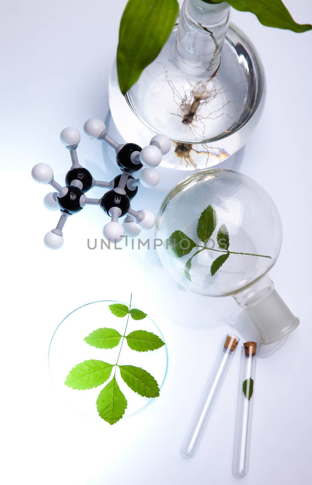 Laboratory glassware, bio organic modern concept