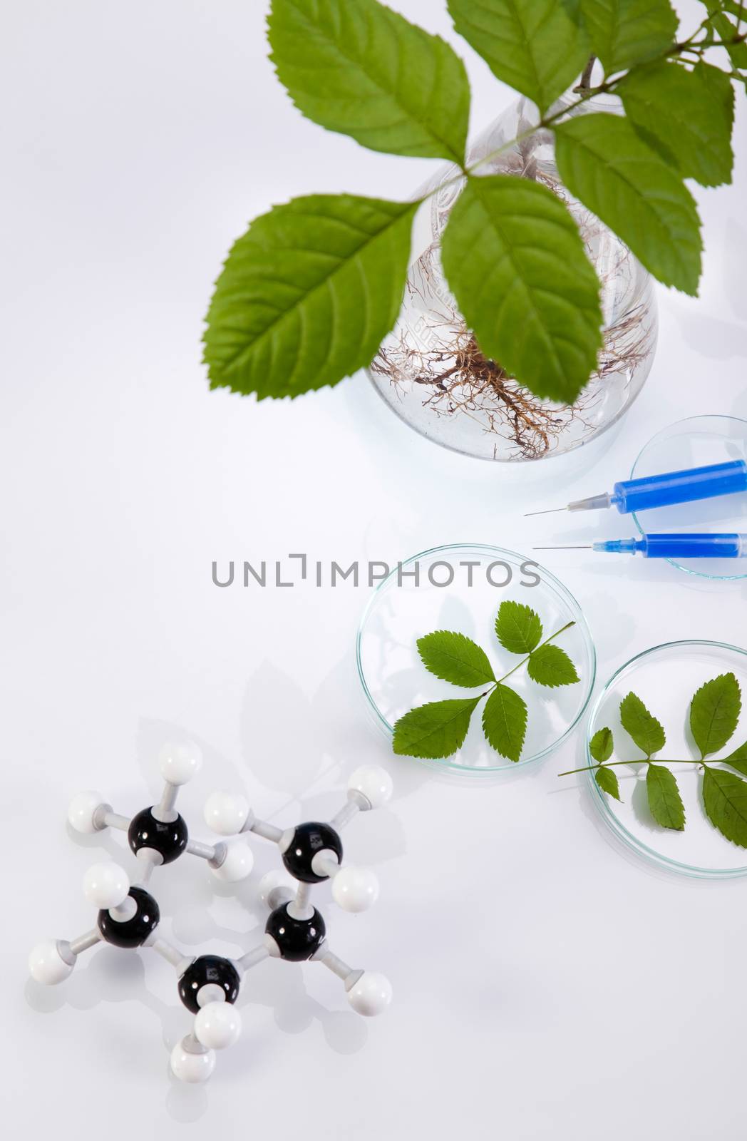 Chemistry equipment, plants laboratory experimental