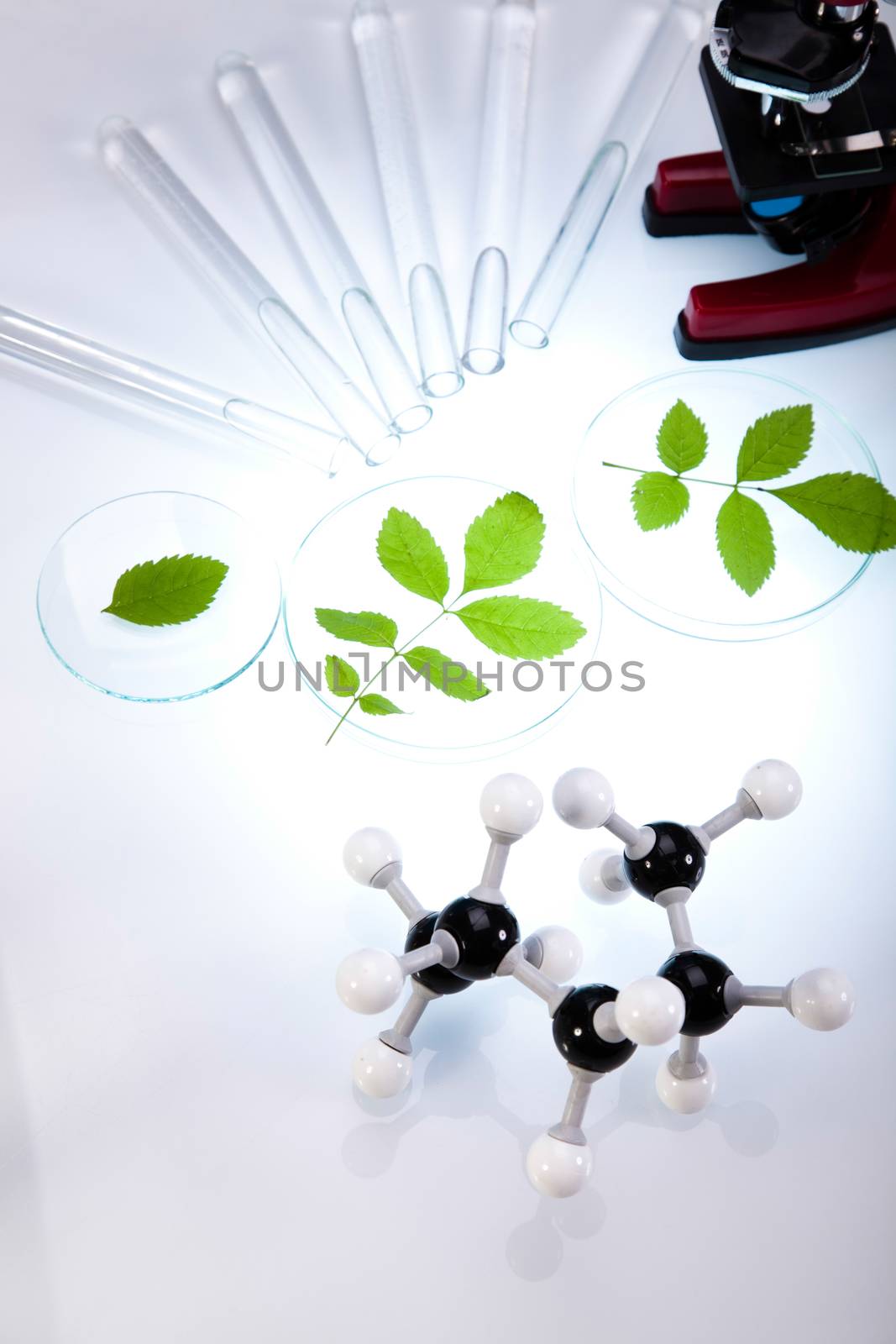 Laboratory glassware, bio organic modern concept