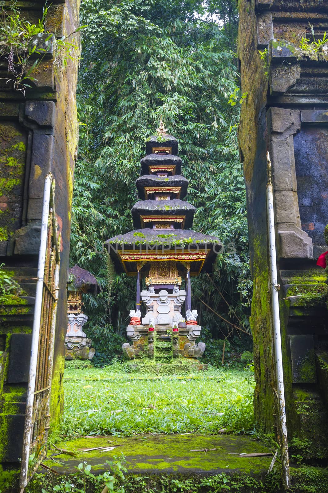 Bali temple at Ubud, Indonesia by truphoto
