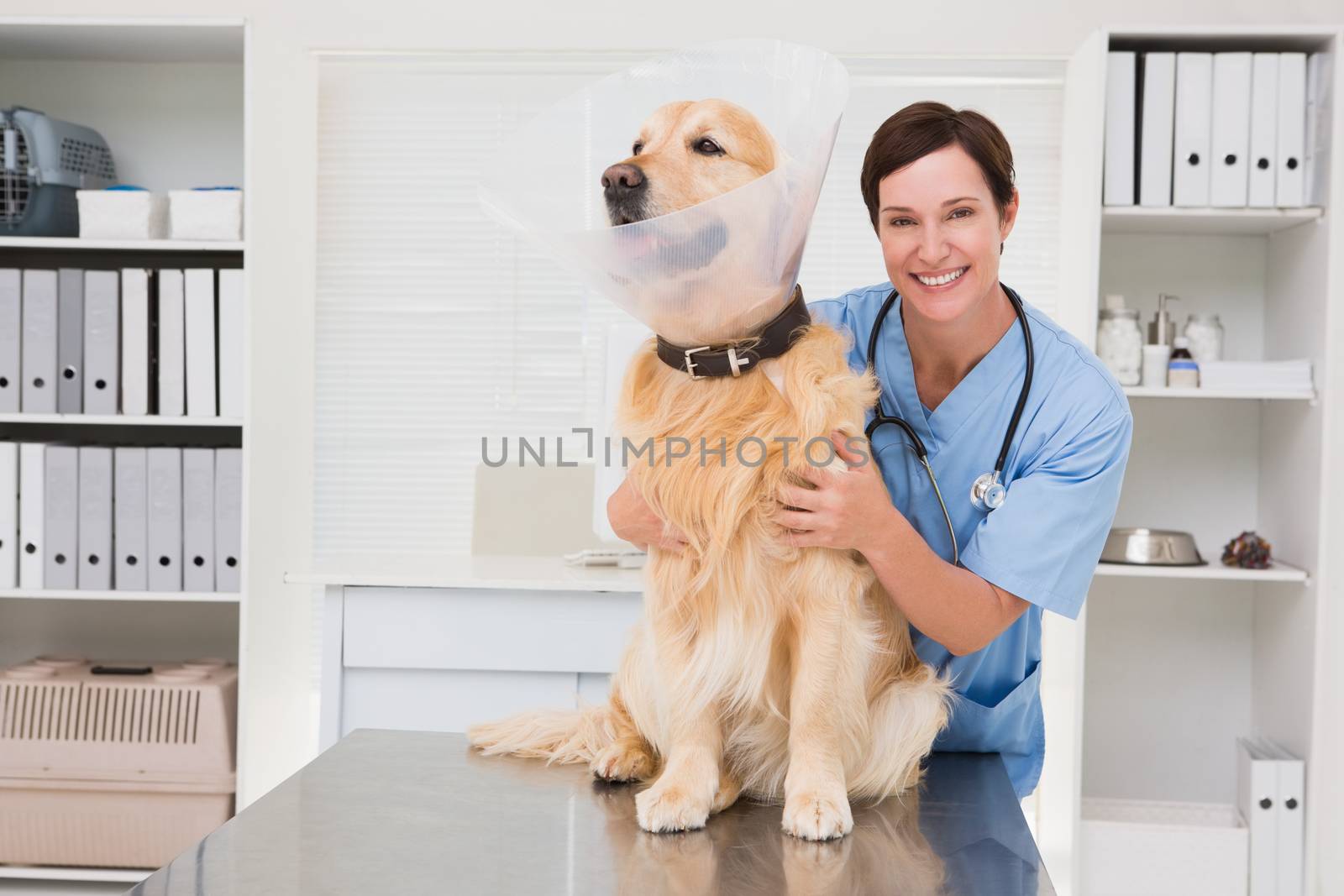 Smiling veterinarian examining a cute dog in medical office