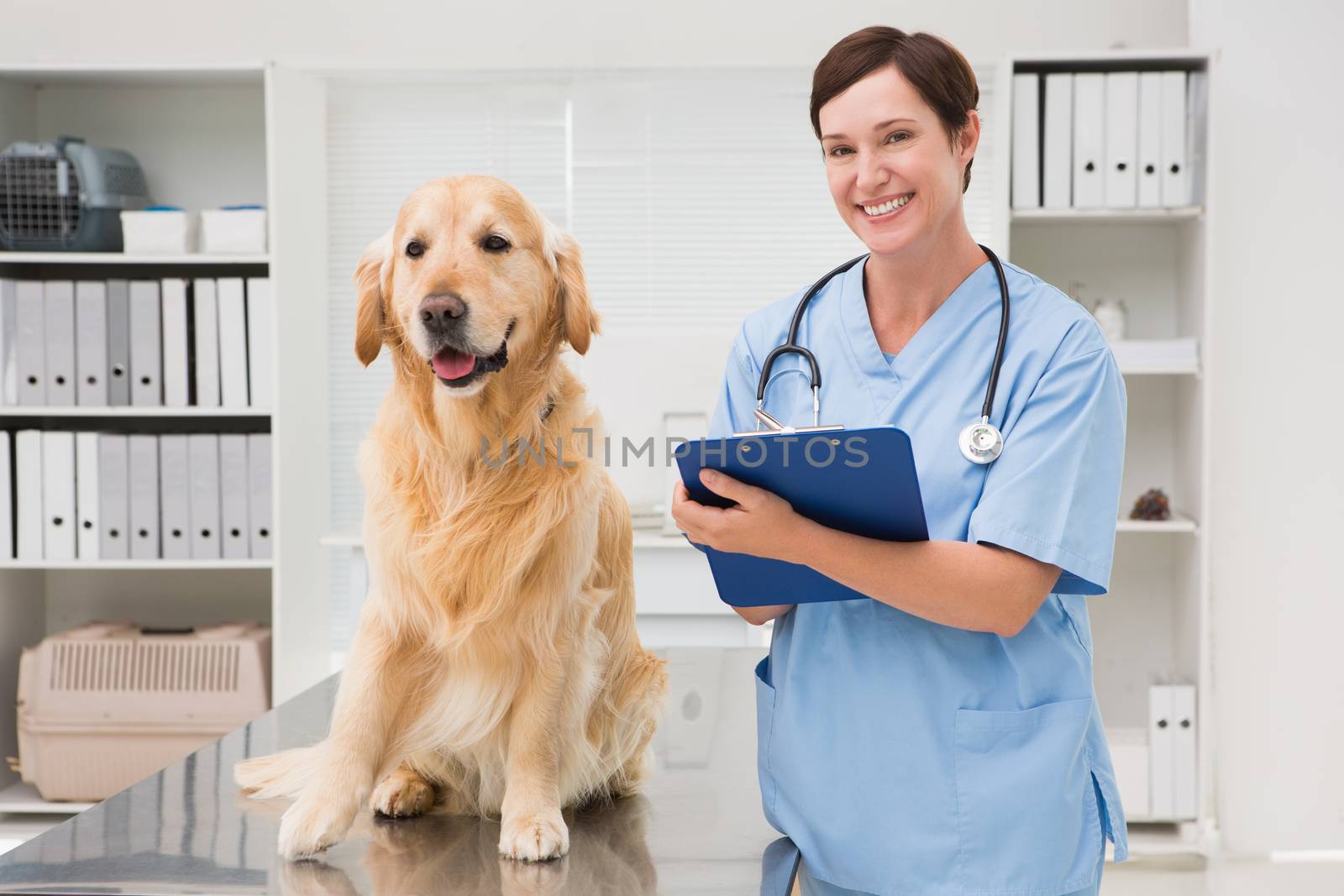 Vet examining a dog and writing on clipboard by Wavebreakmedia