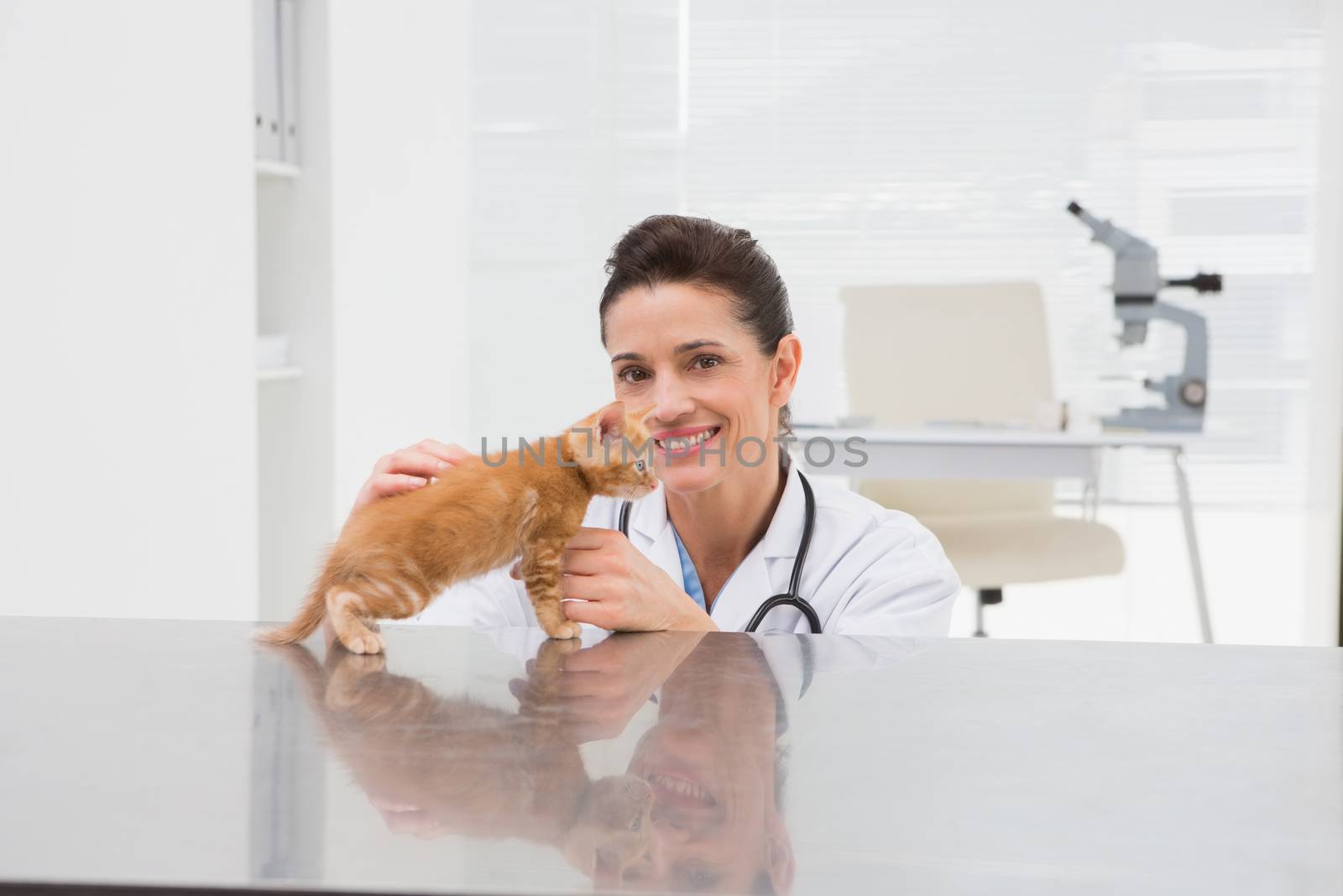 Veterinarian examining a cat  by Wavebreakmedia