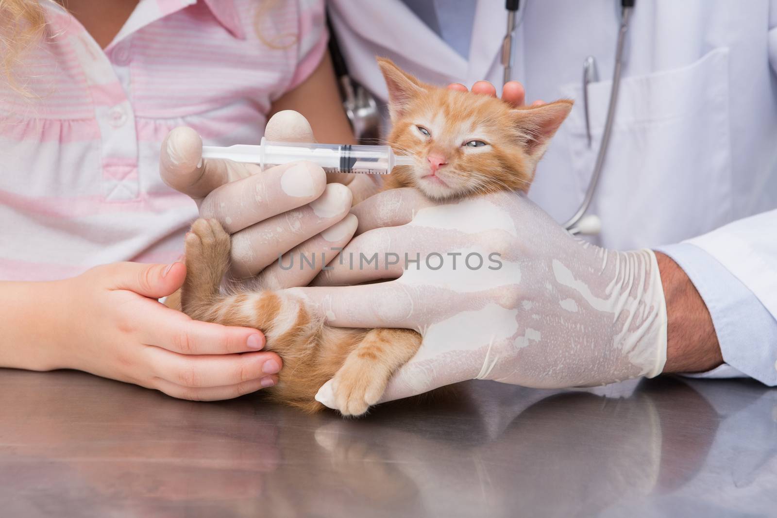 Veterinarian doing injection at a cute cat with it owner  by Wavebreakmedia