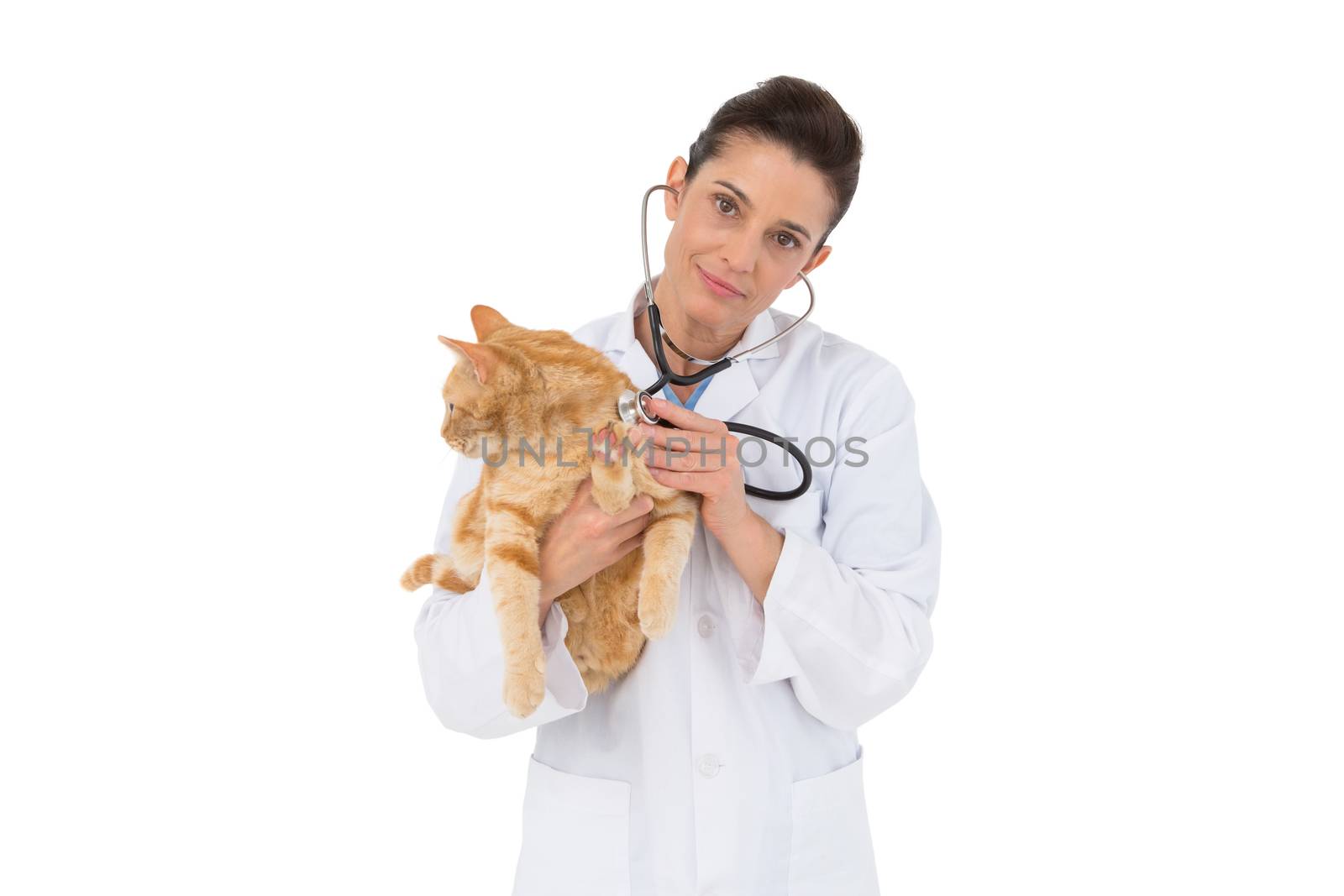 Veterinarian examining a cat with stethoscope  by Wavebreakmedia