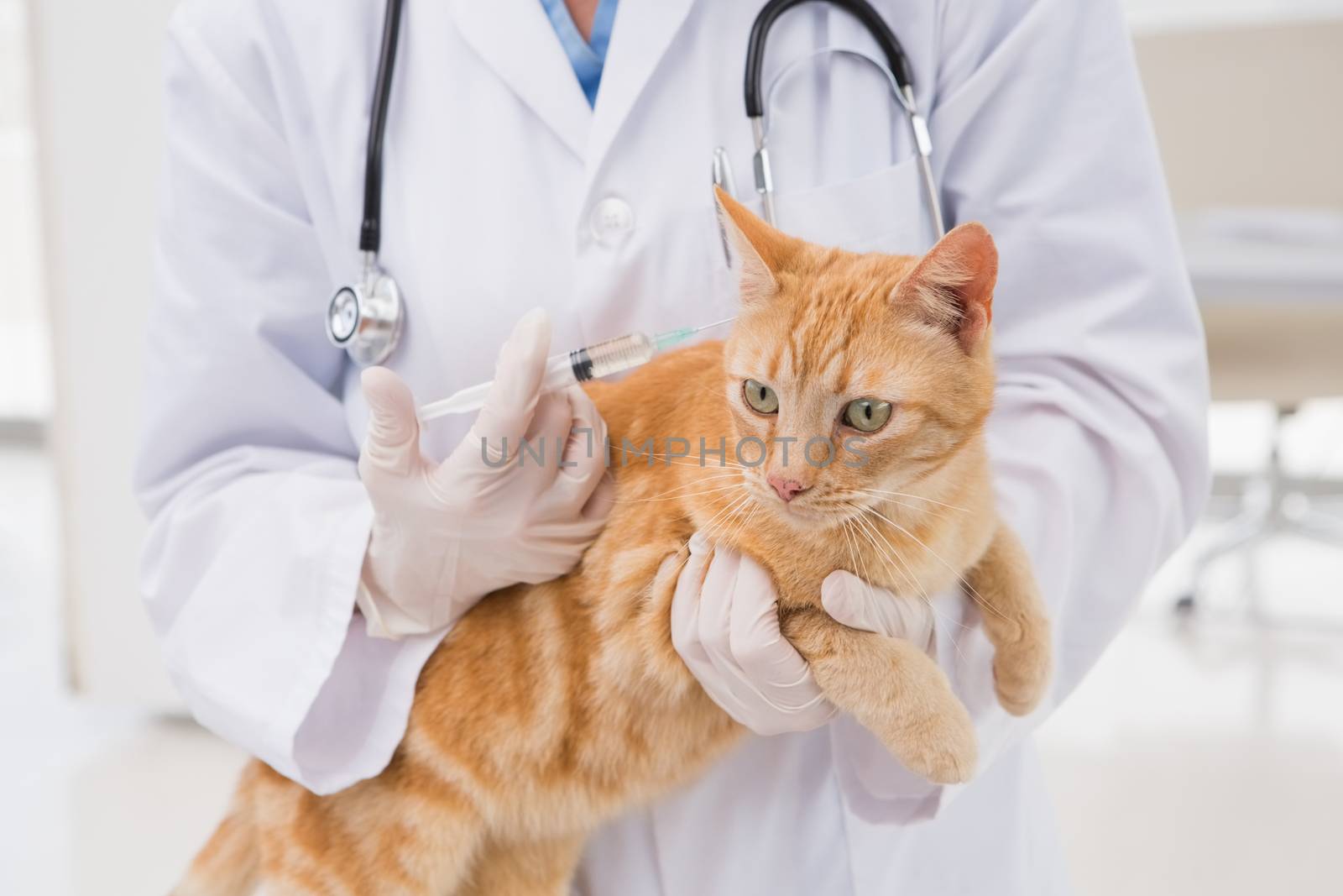 Veterinarian doing injection at a cat by Wavebreakmedia