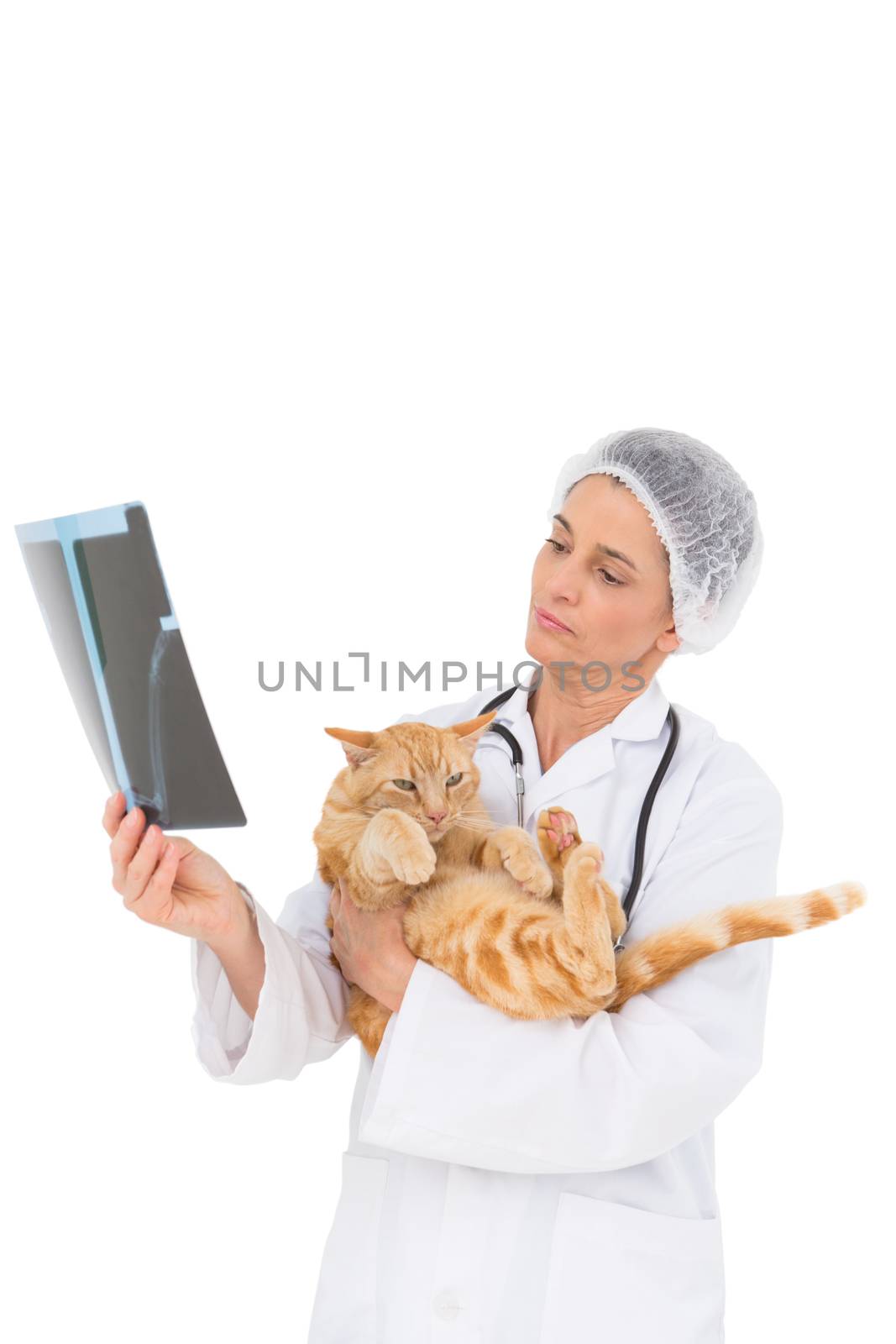 Veterinarian holding cat and looking at xray by Wavebreakmedia