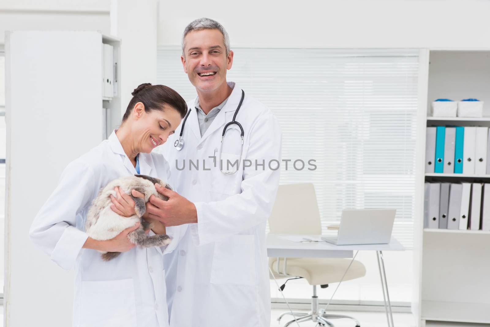 Smiling veterinarians holding cat in medical office  