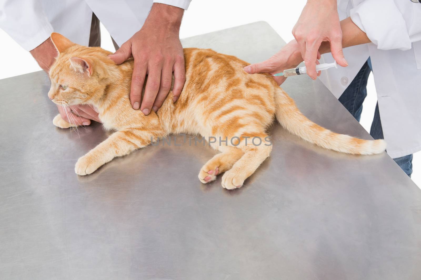 Veterinarians doing injection at a cat  by Wavebreakmedia