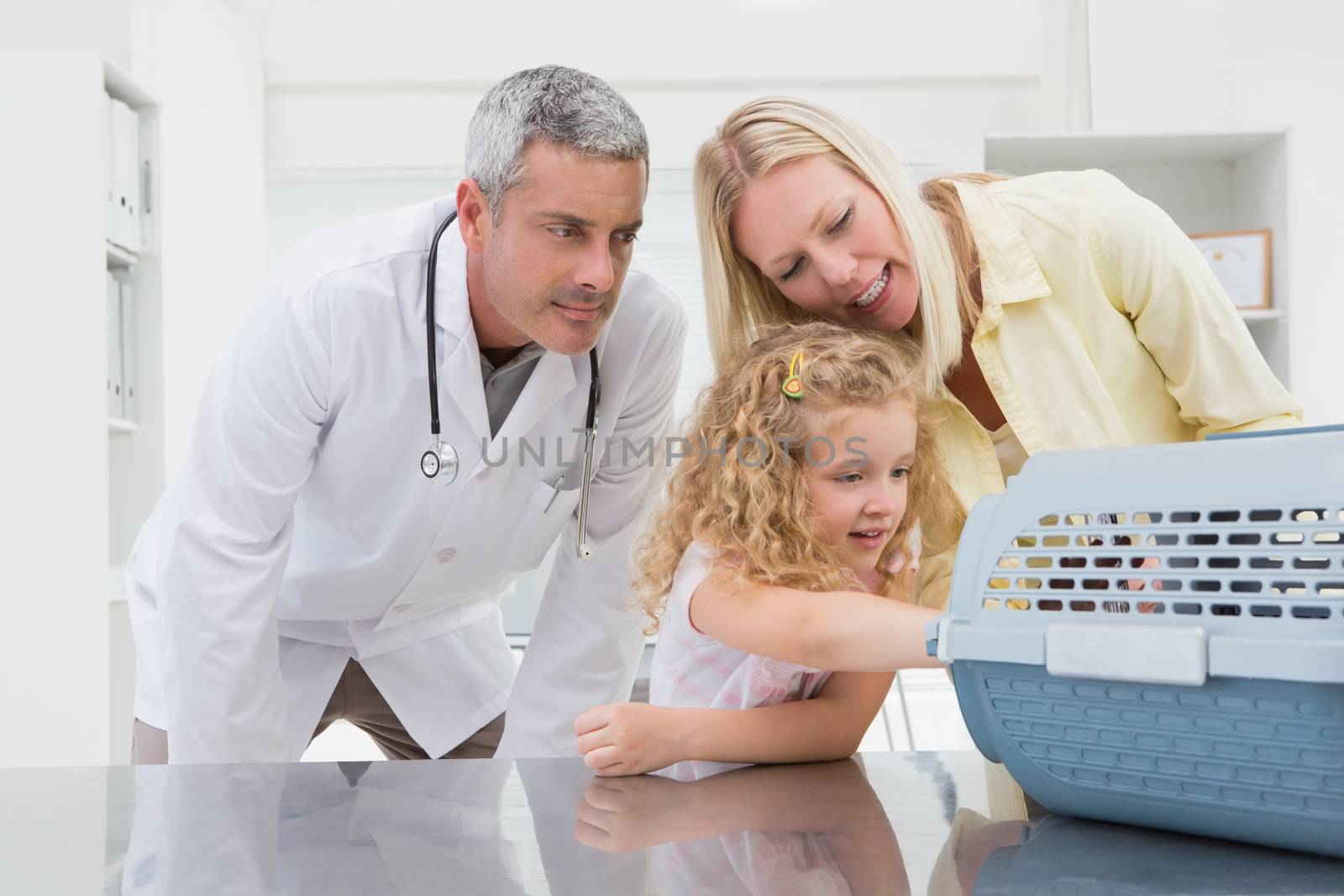 Veterinarian and cat owner looking at cat in medical office 