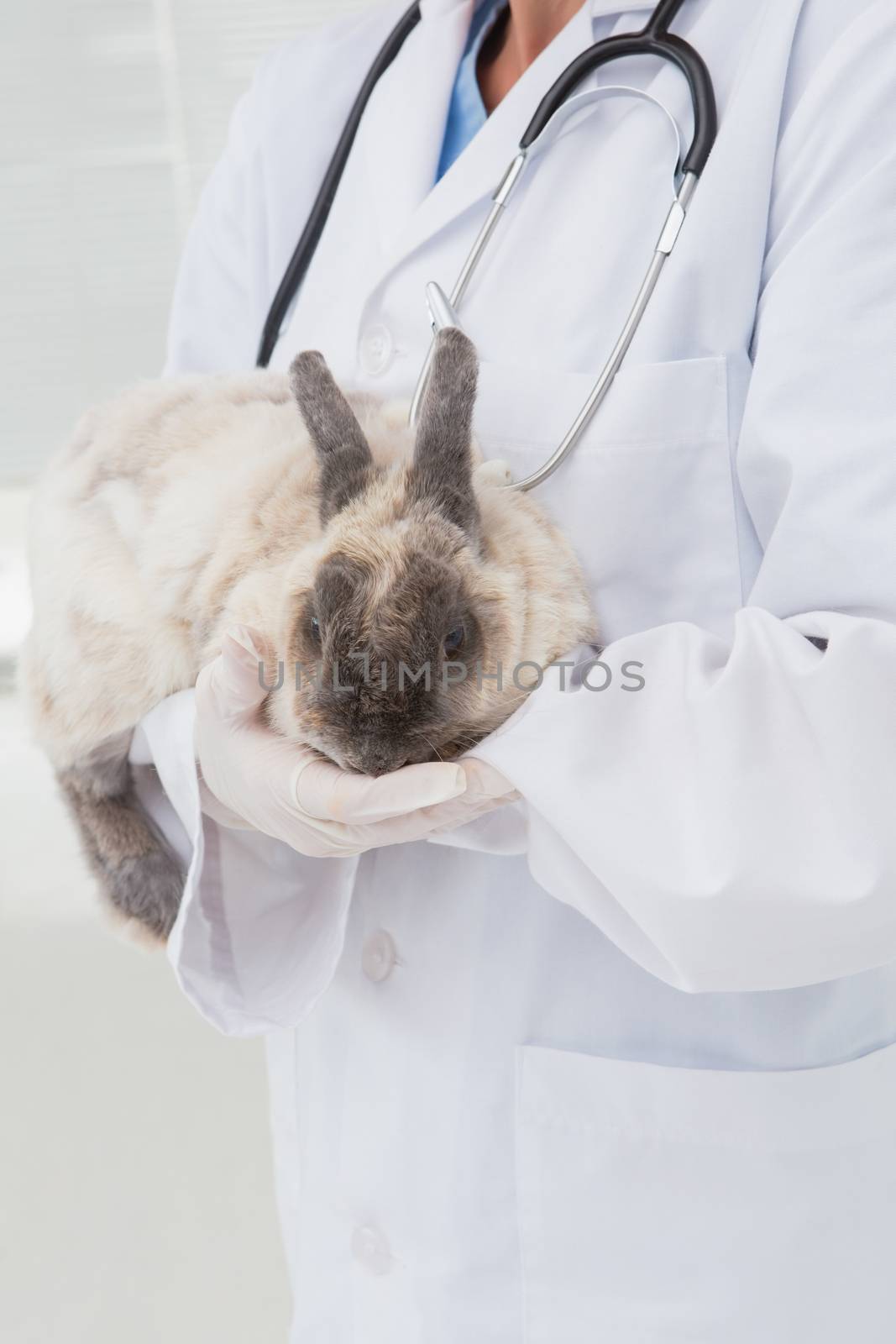 Veterinarian with a rabbit in his arms in medical office 