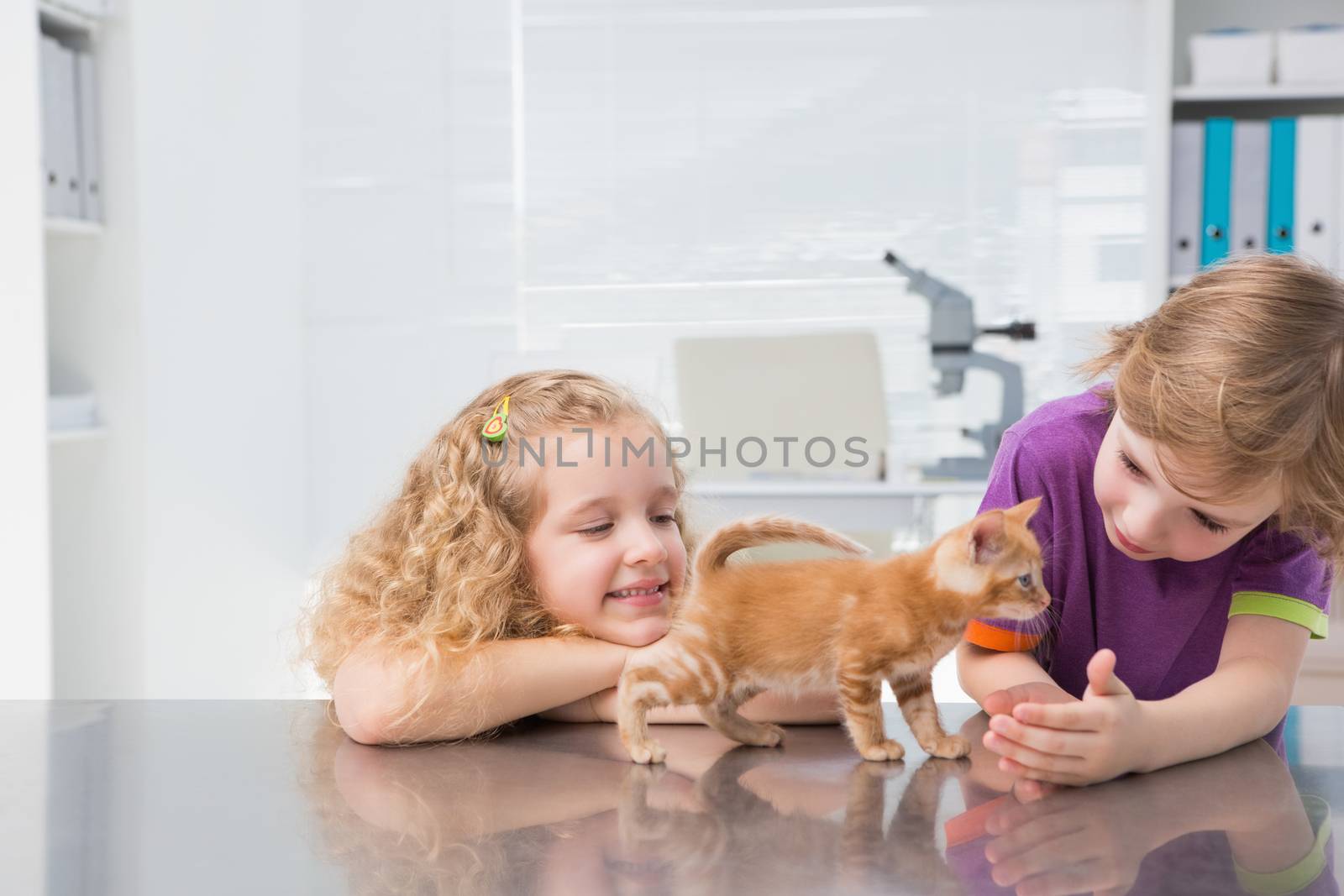 Smiling owners petting their cat by Wavebreakmedia
