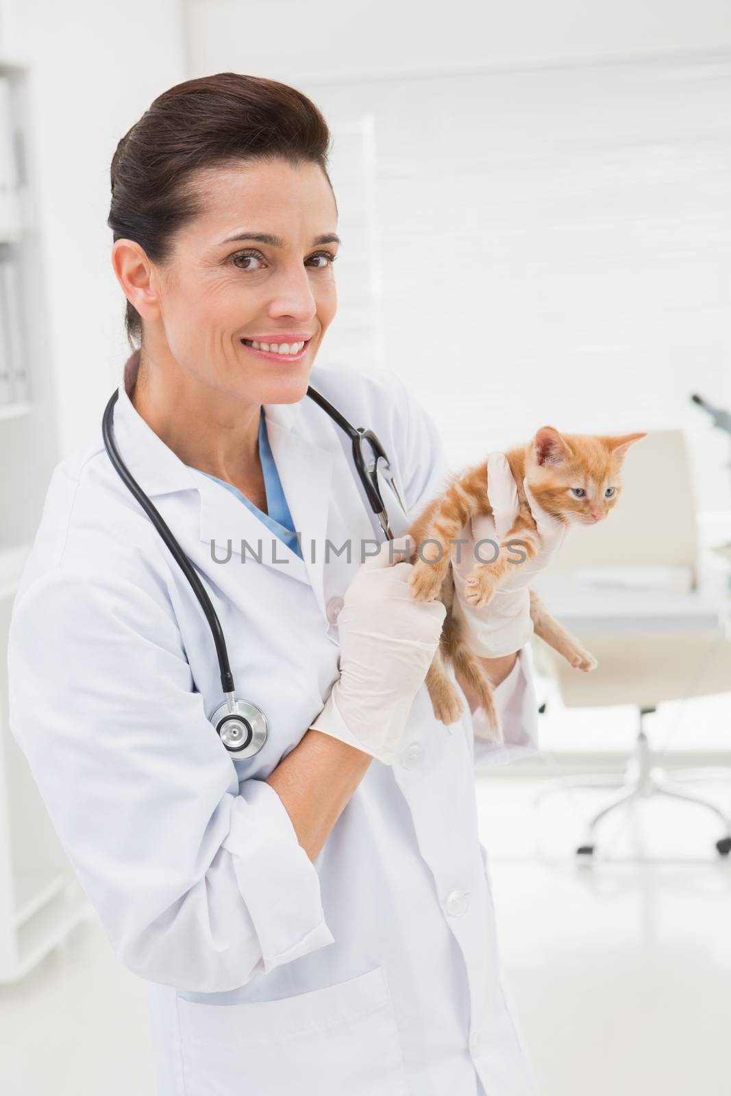 Veterinarian examining a cat in medical office 