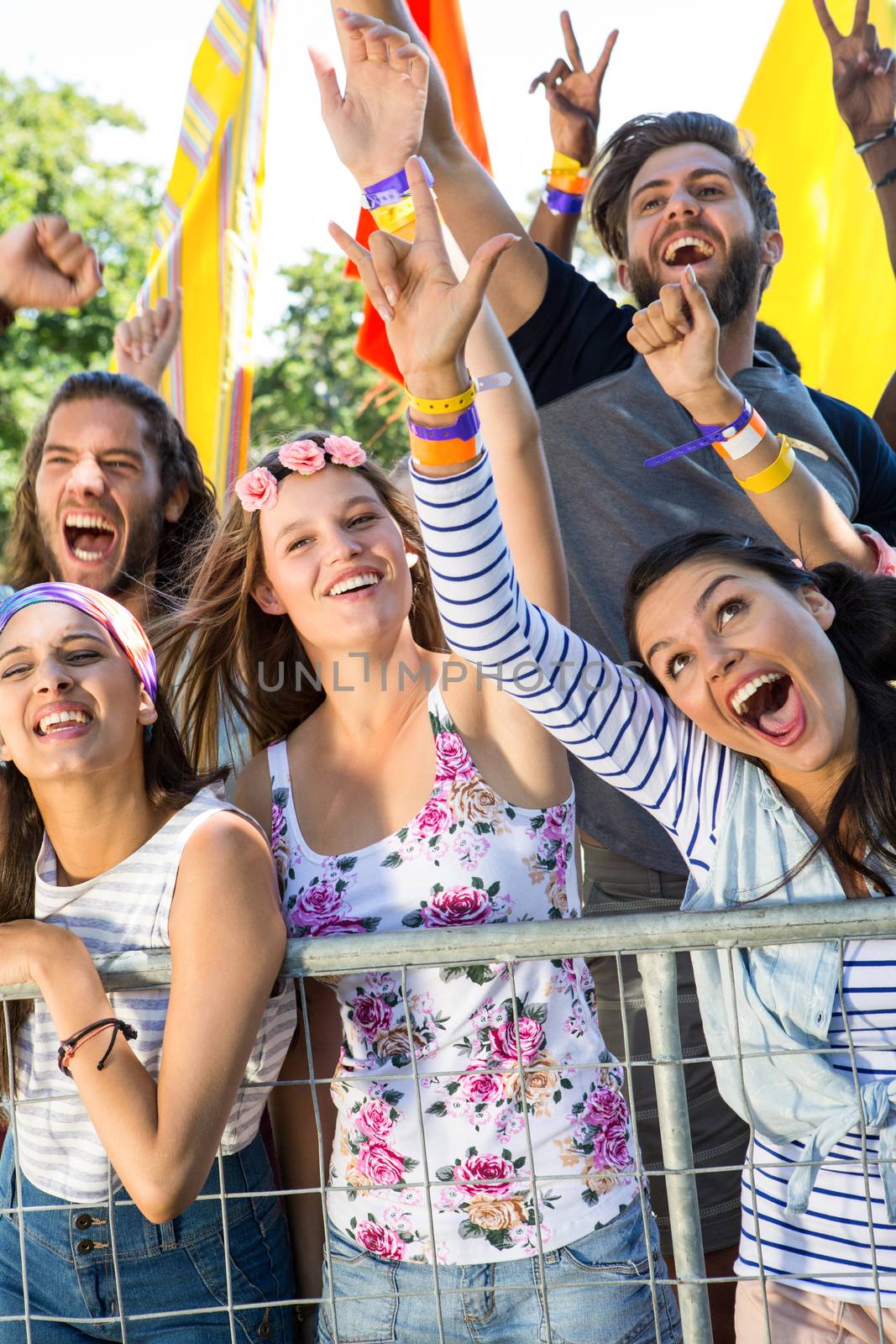 Excited music fans up the front at festival on a summers day