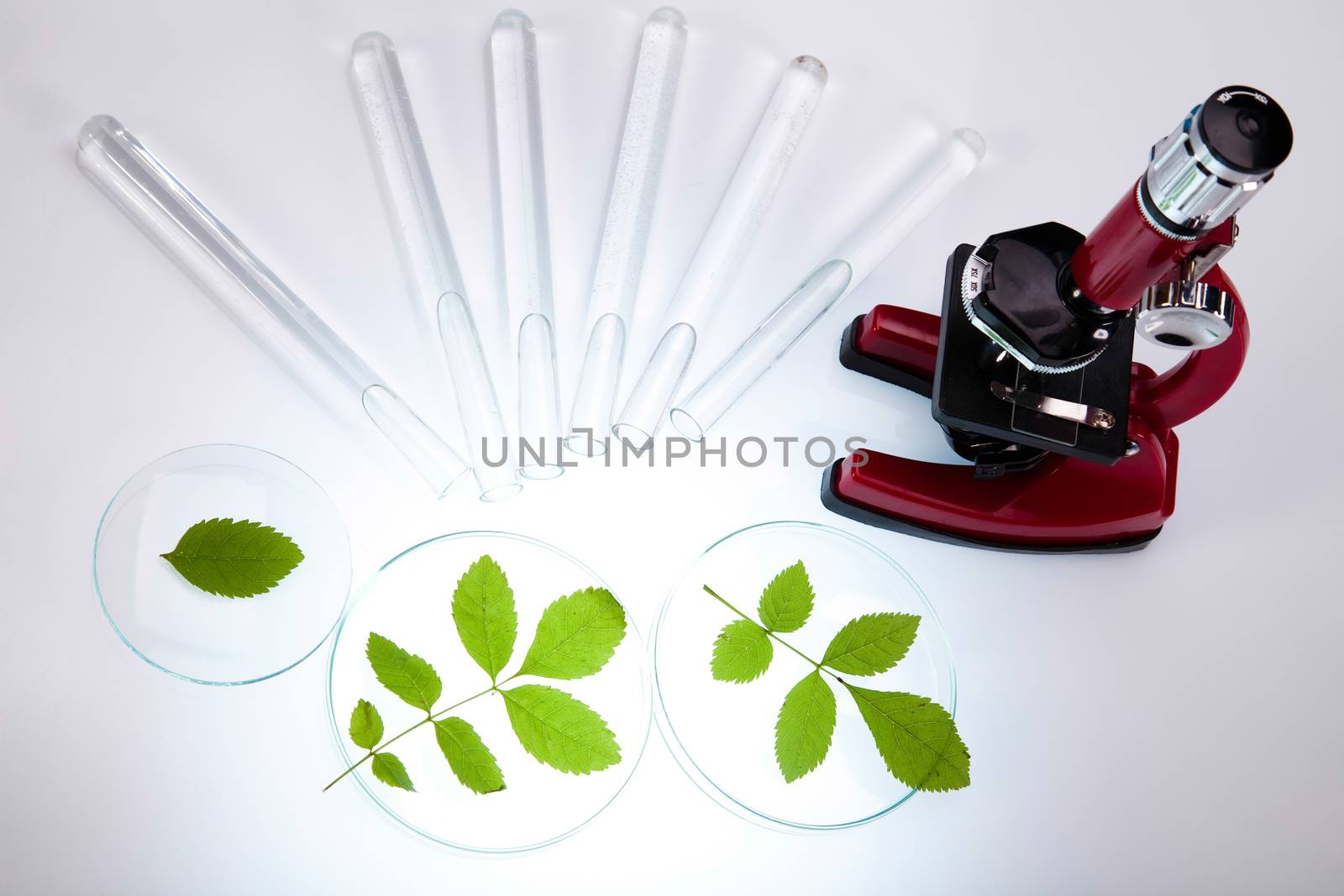 Chemical laboratory glassware, bio organic modern concept
